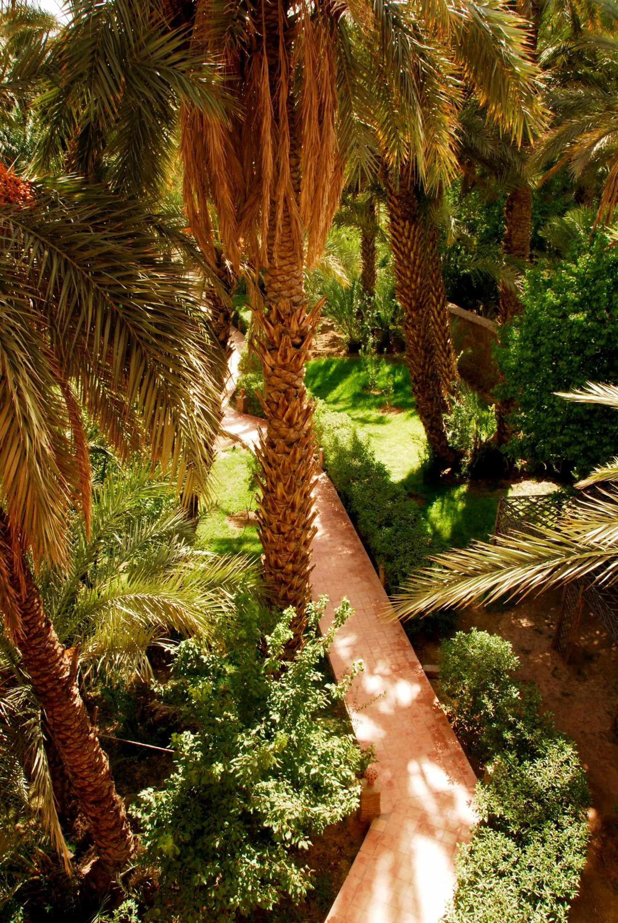 Garden in Maison d'Hôtes Kasbah Azul