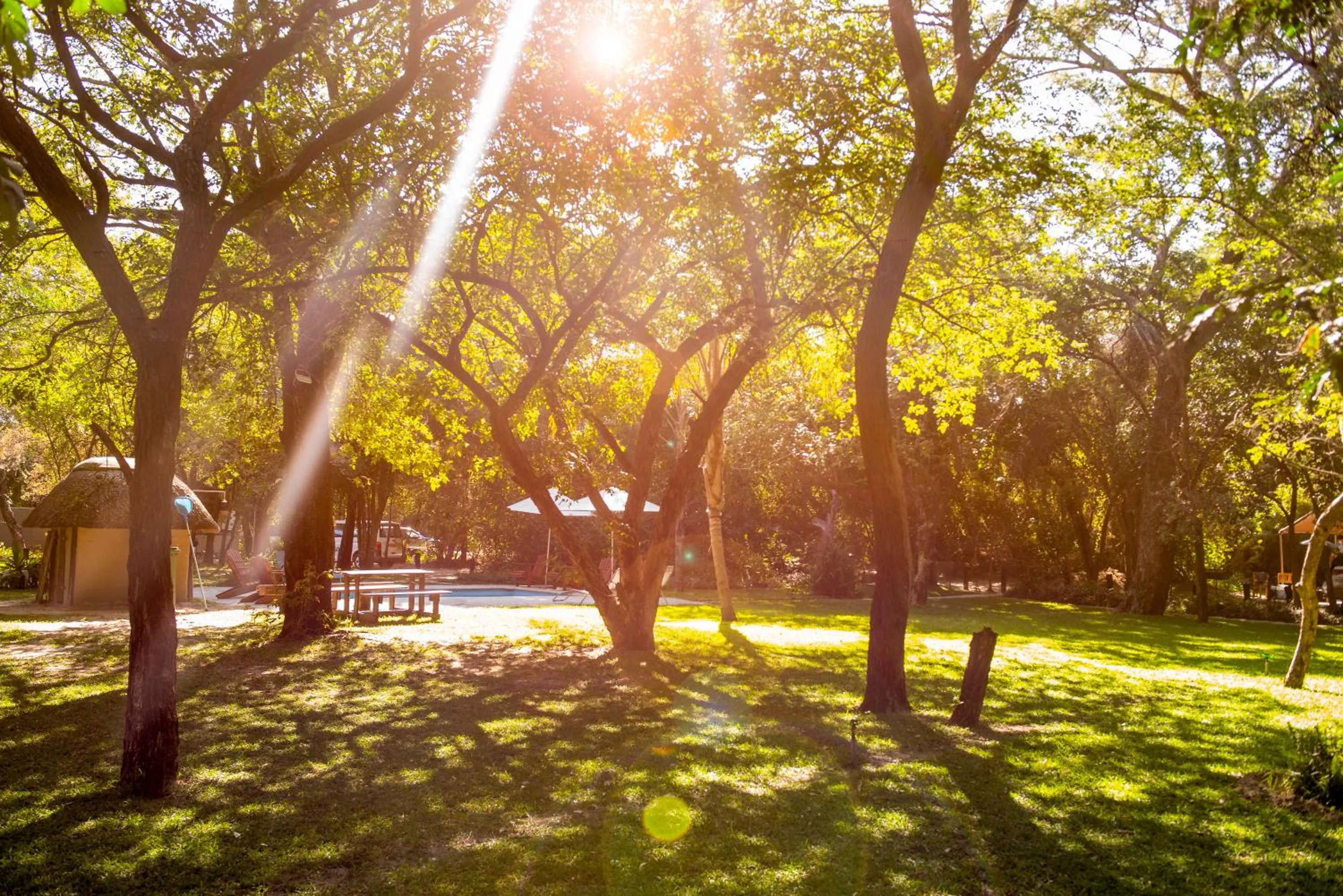 Garden in Zambezi Mubala Camp