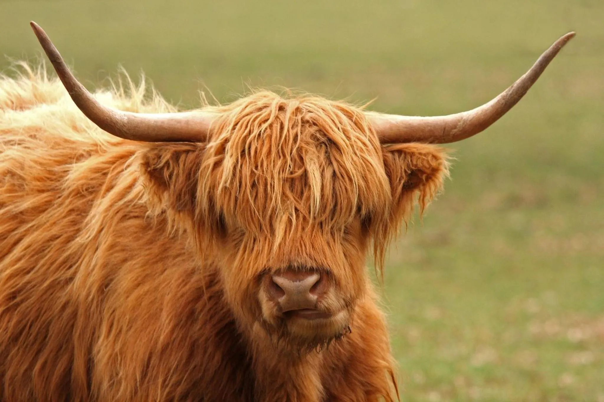 Glen Affric Holiday Park