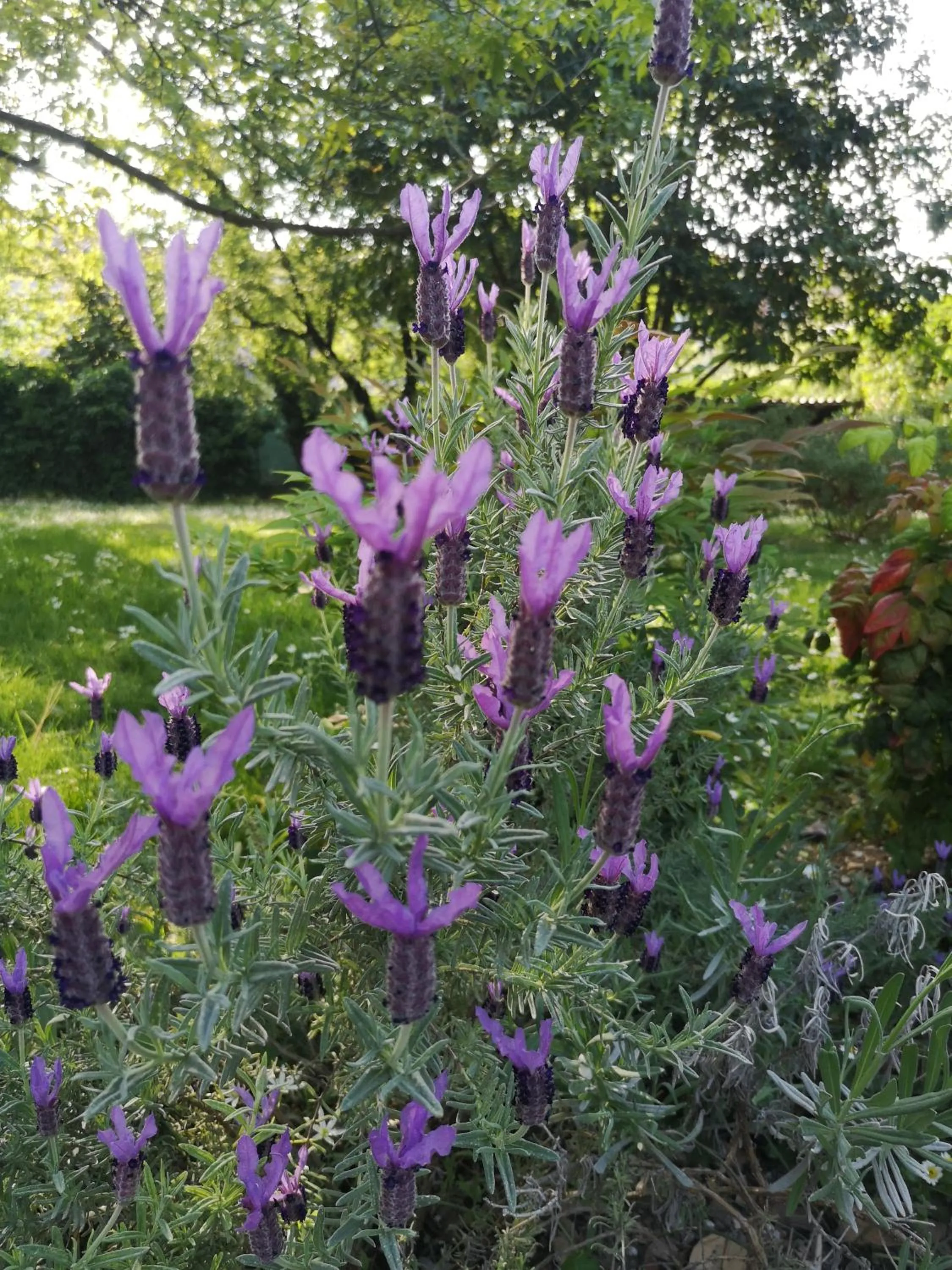 Children play ground in B&B Molino2Rosso