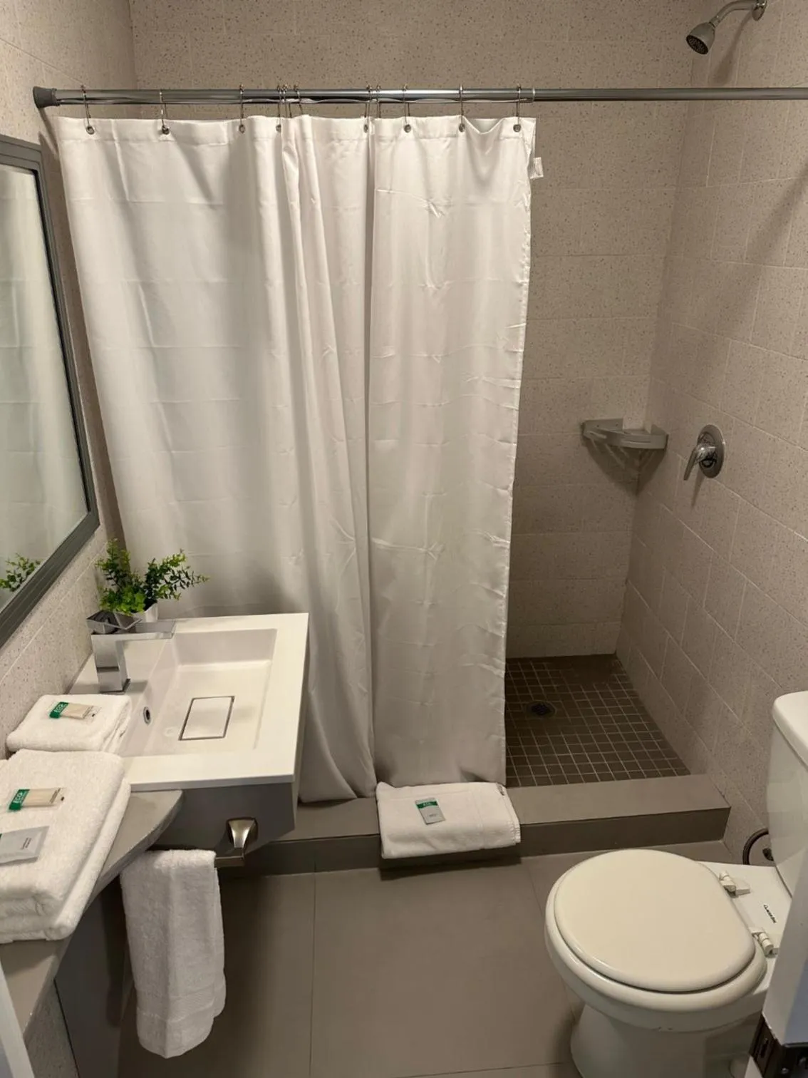 Superior Double Room in Hotel Ponce de Leon
