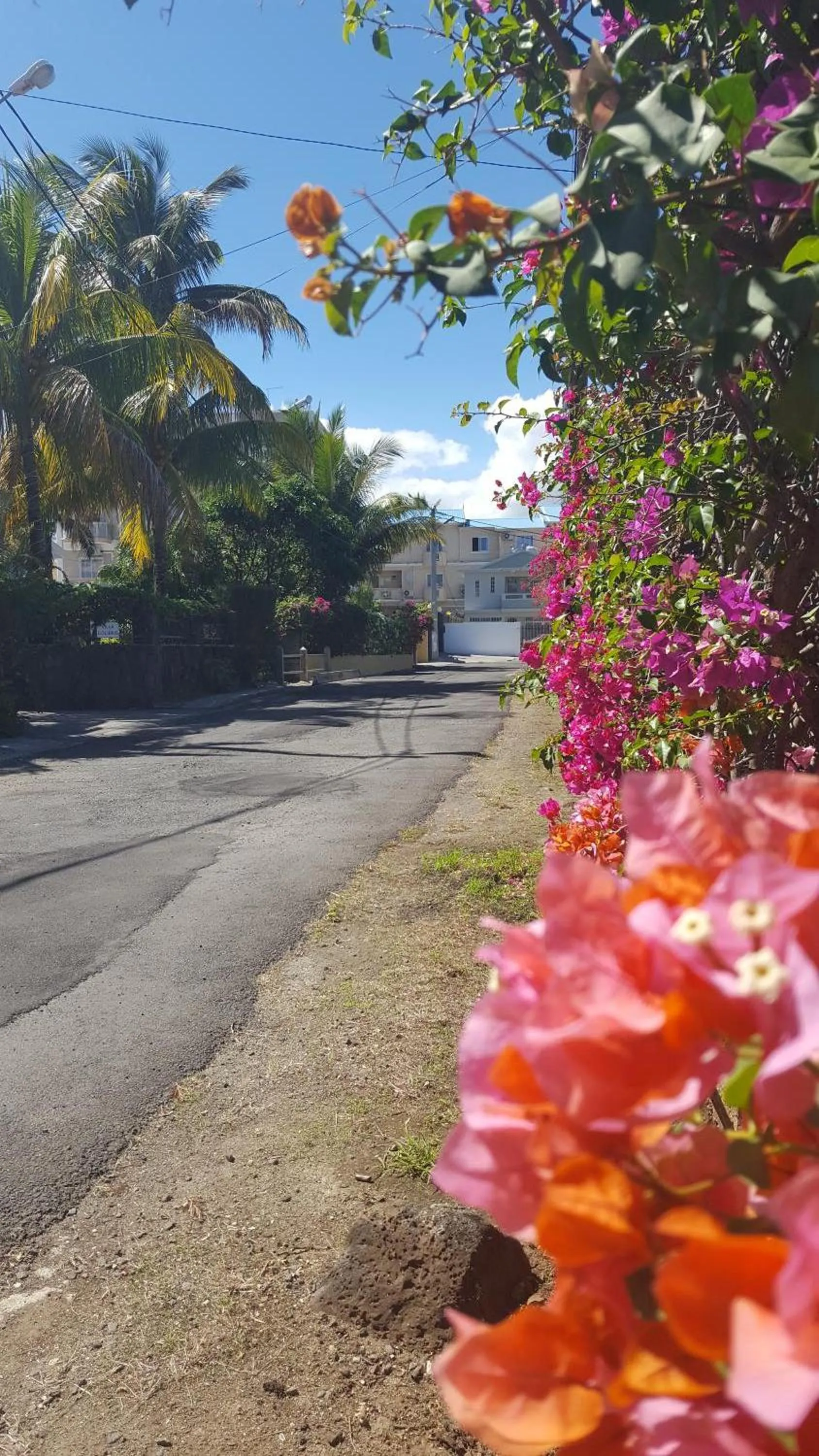 Street view in Résidence Ocean Dream
