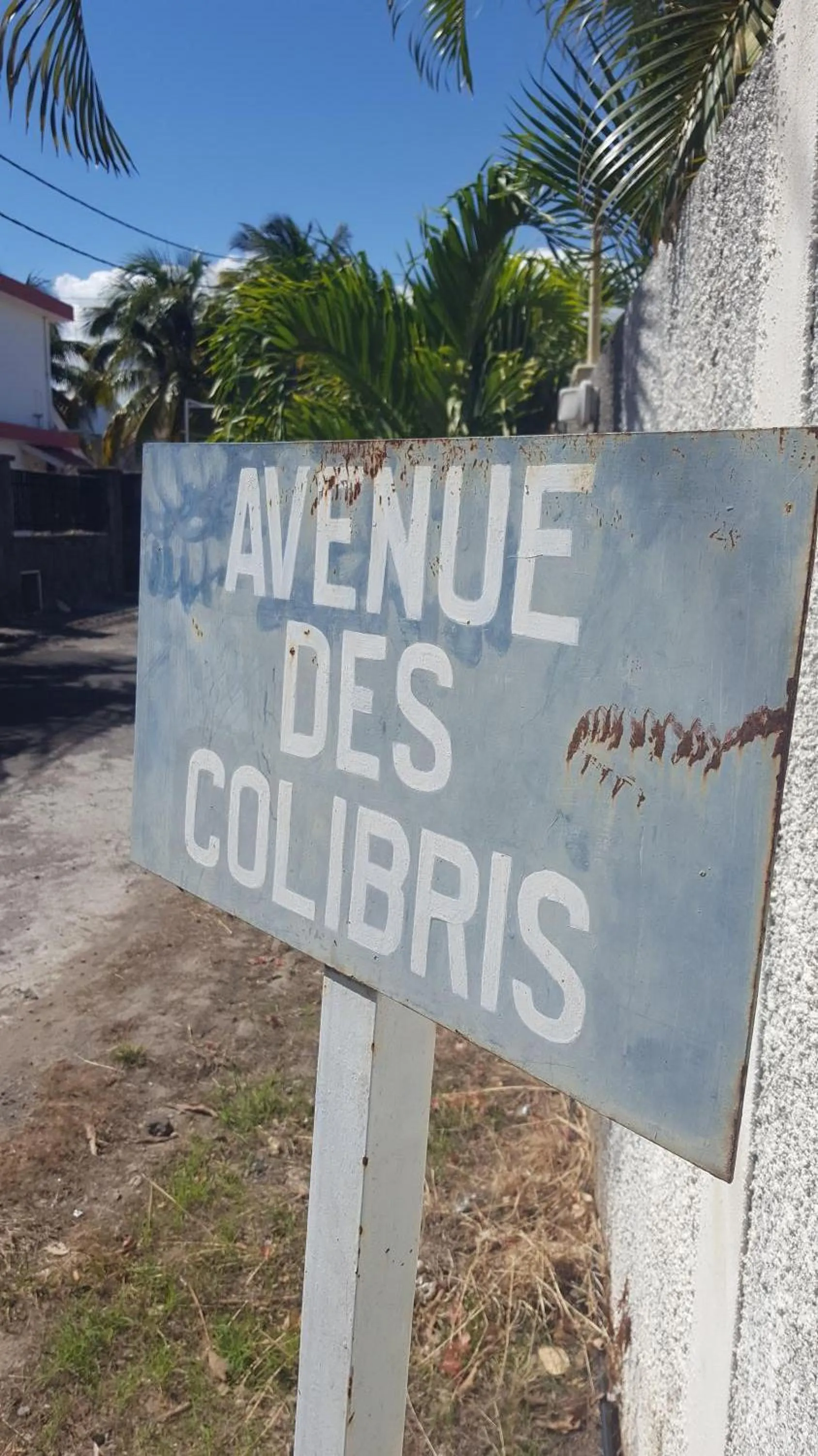 Street view in Résidence Ocean Dream