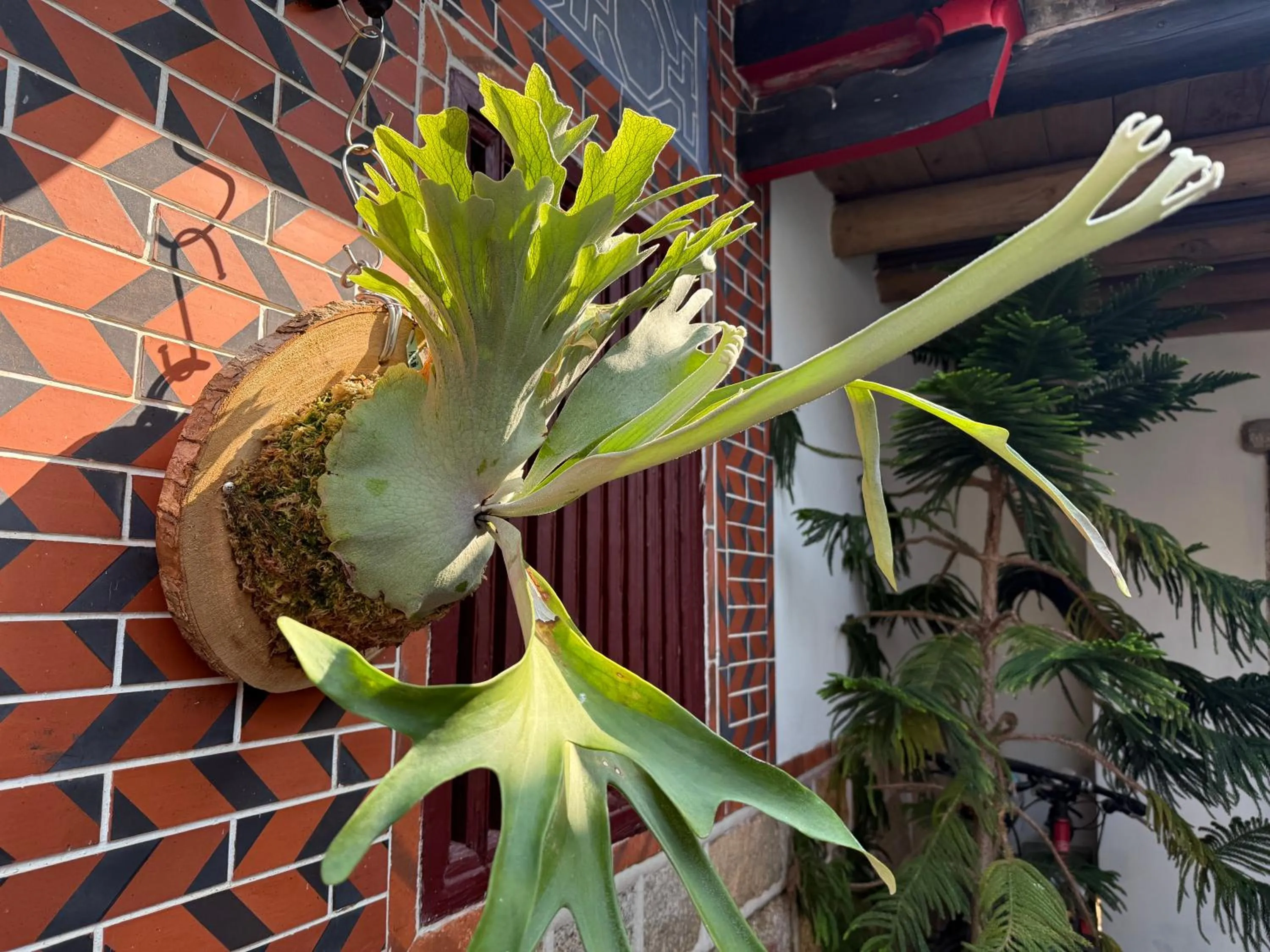Grace Homestay