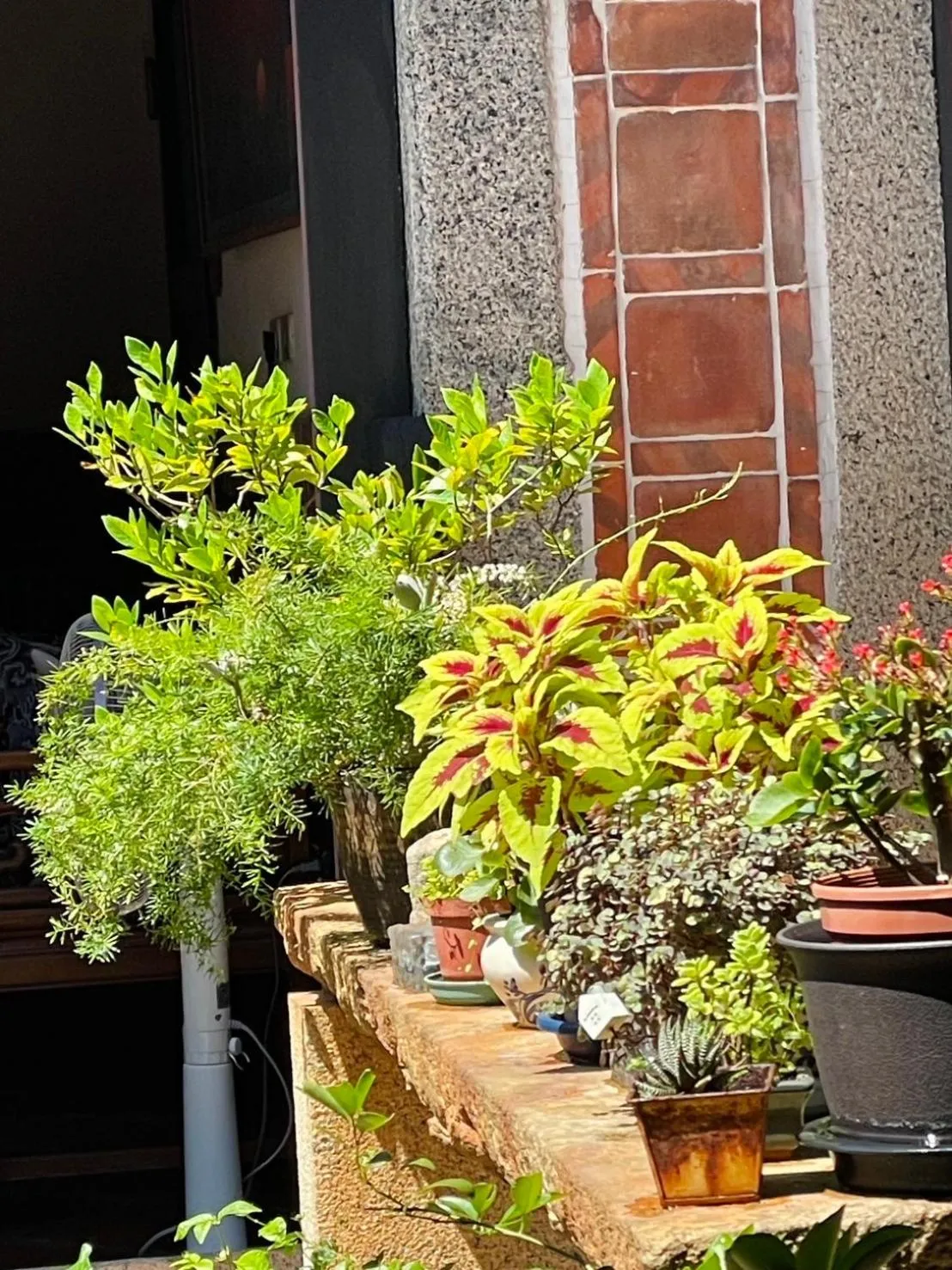 Grace Homestay