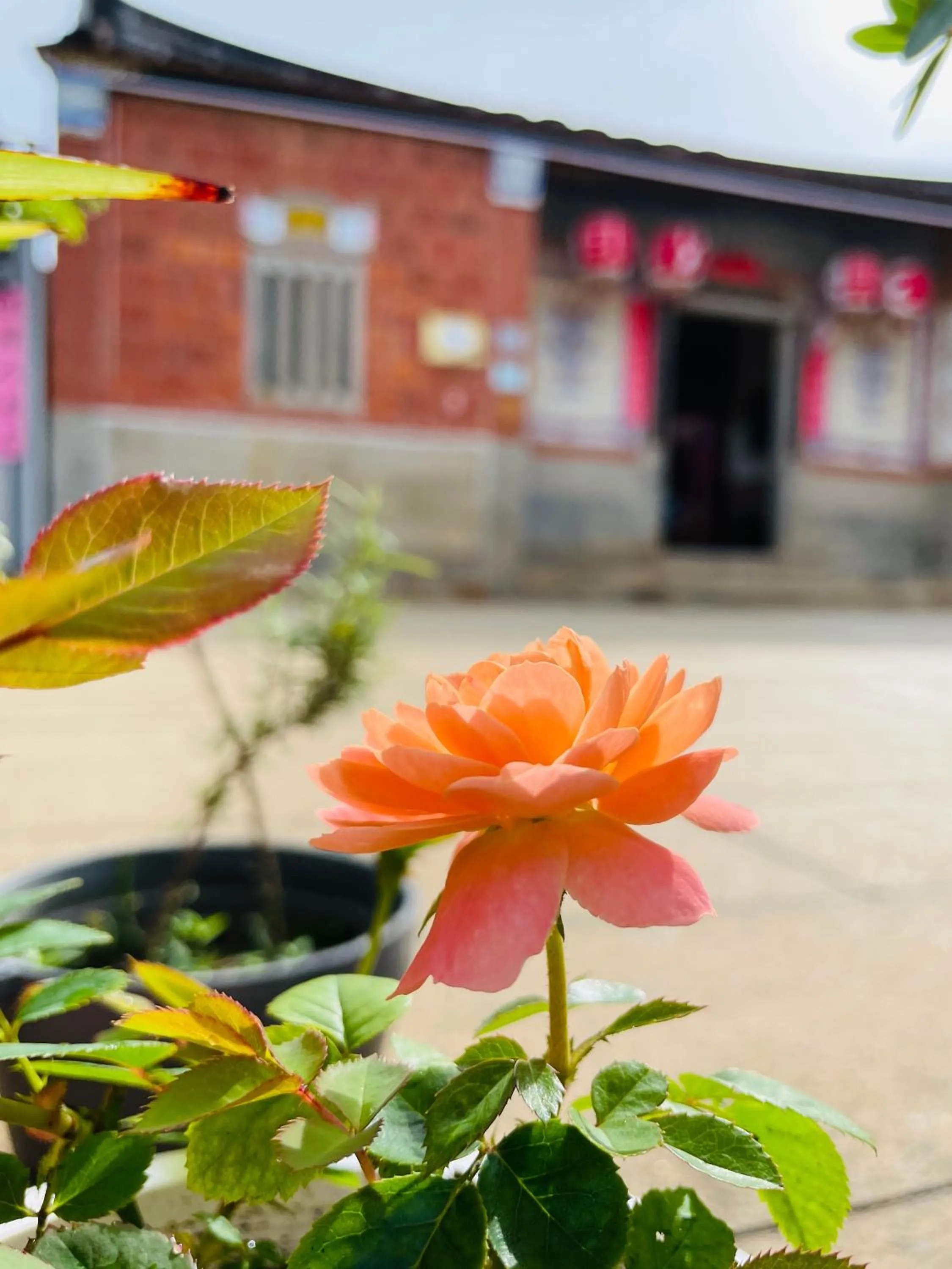 Grace Homestay