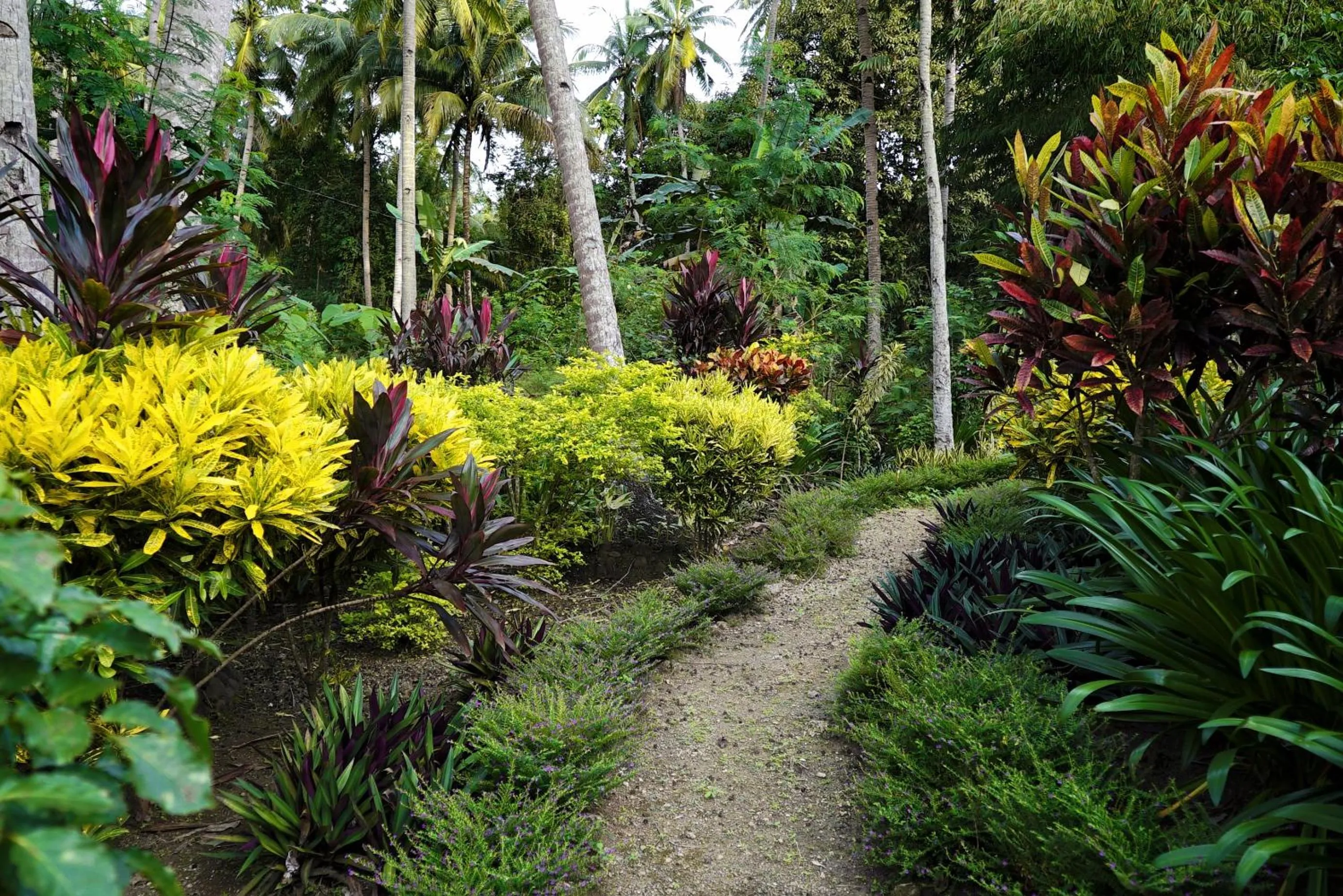 Garden in Guindulman Bay Tourist Inn