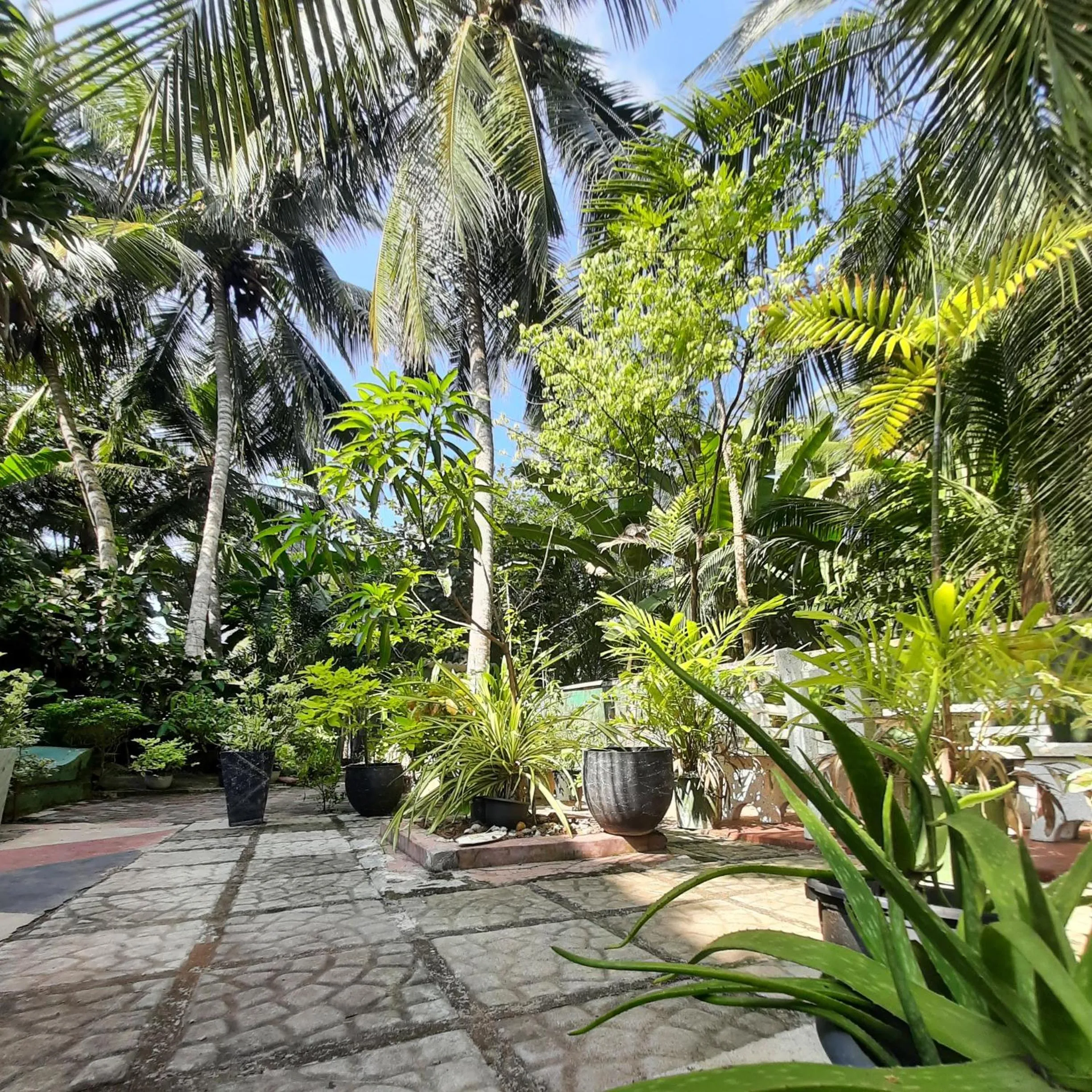 Garden in Susee Villa