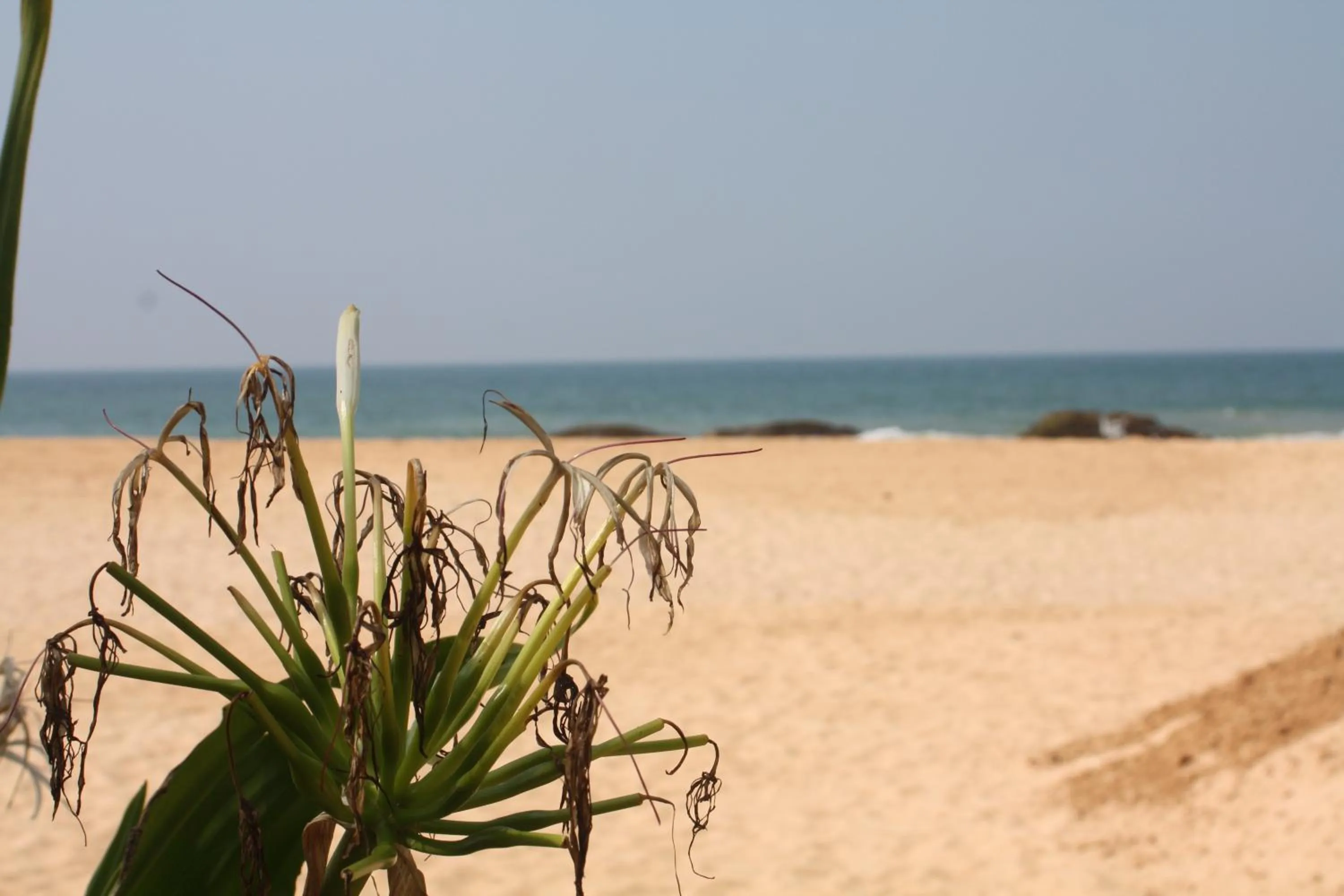 Fishing in Susee Villa