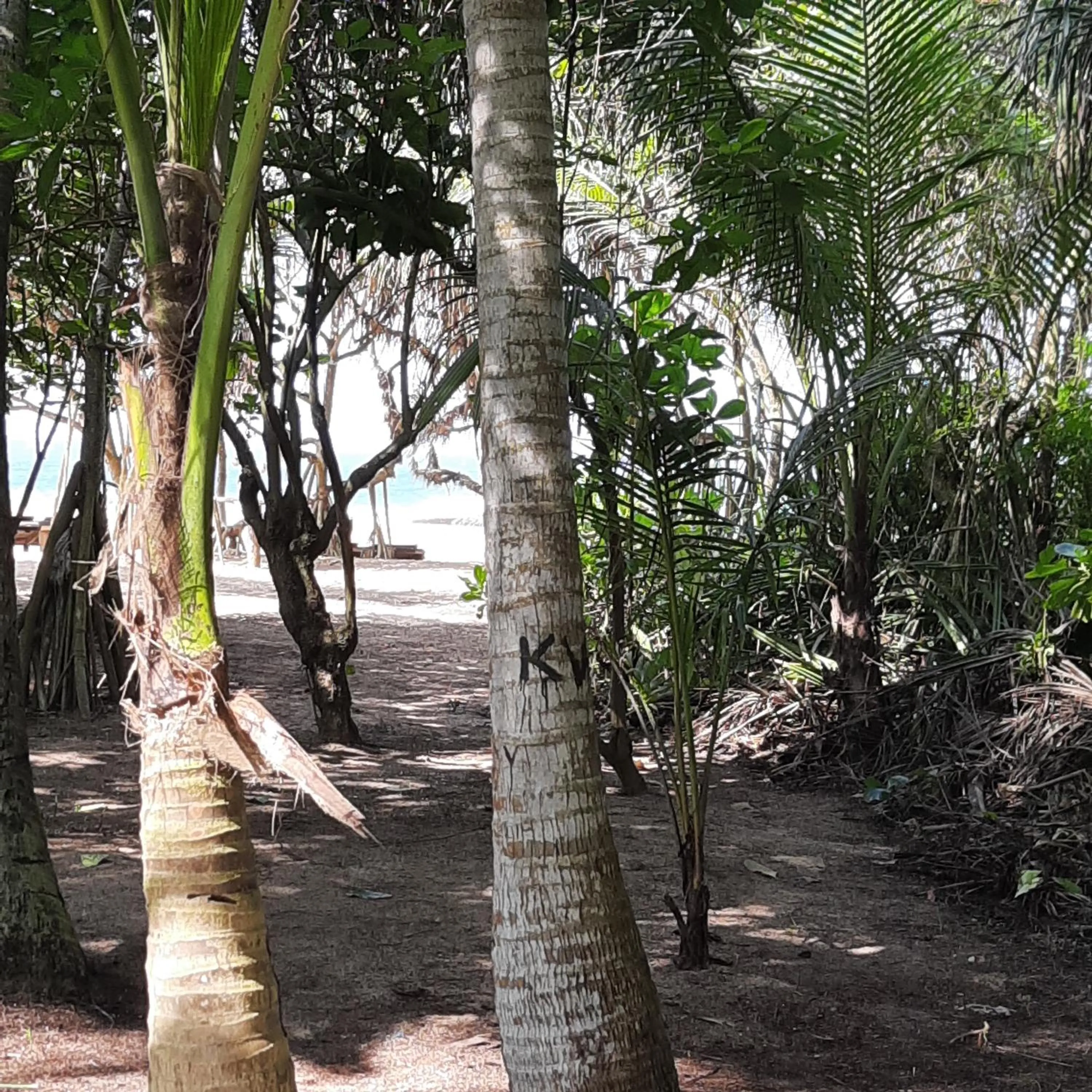 Garden view in Susee Villa