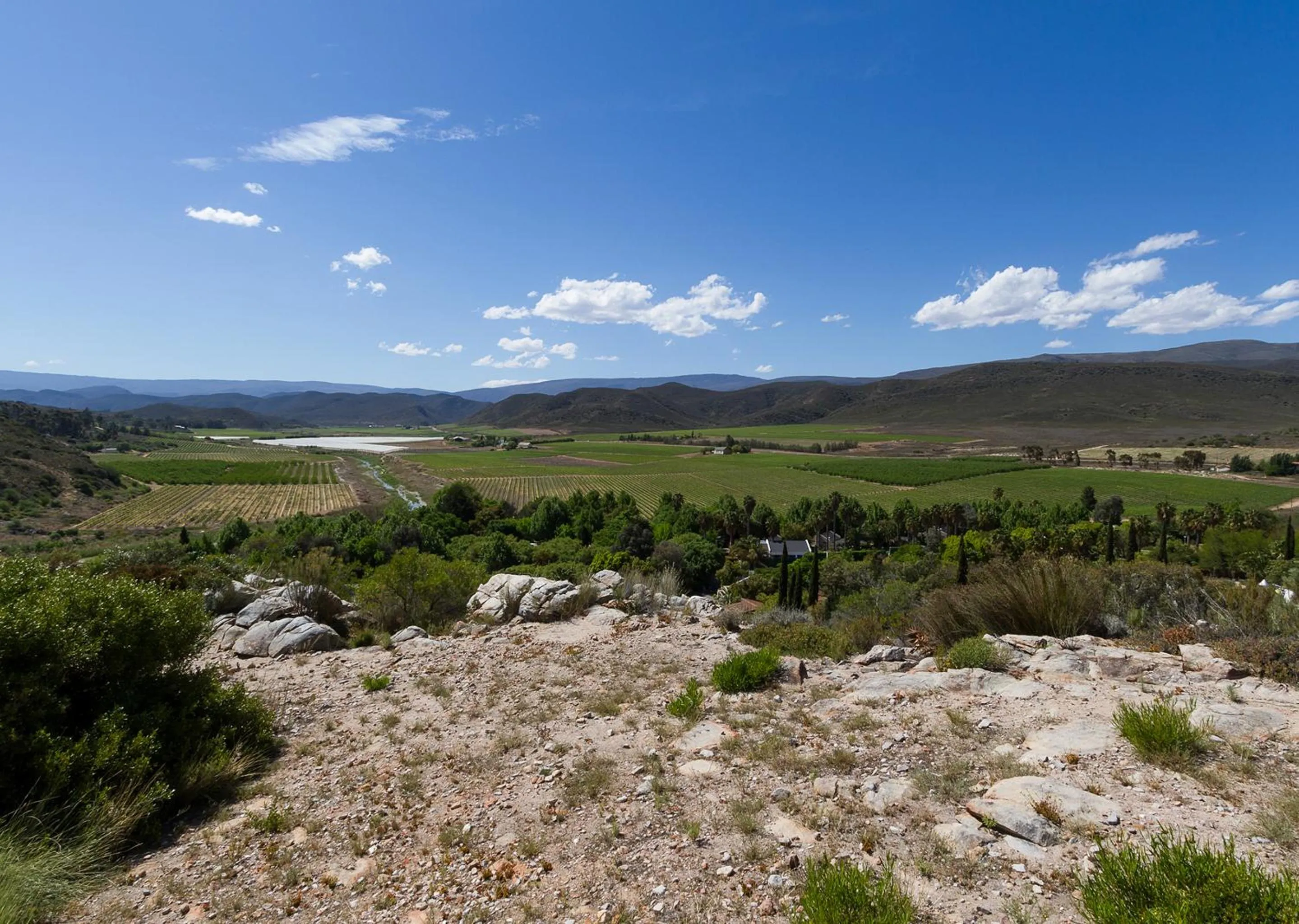 Natural landscape in Avalon Springs by Dream Resorts