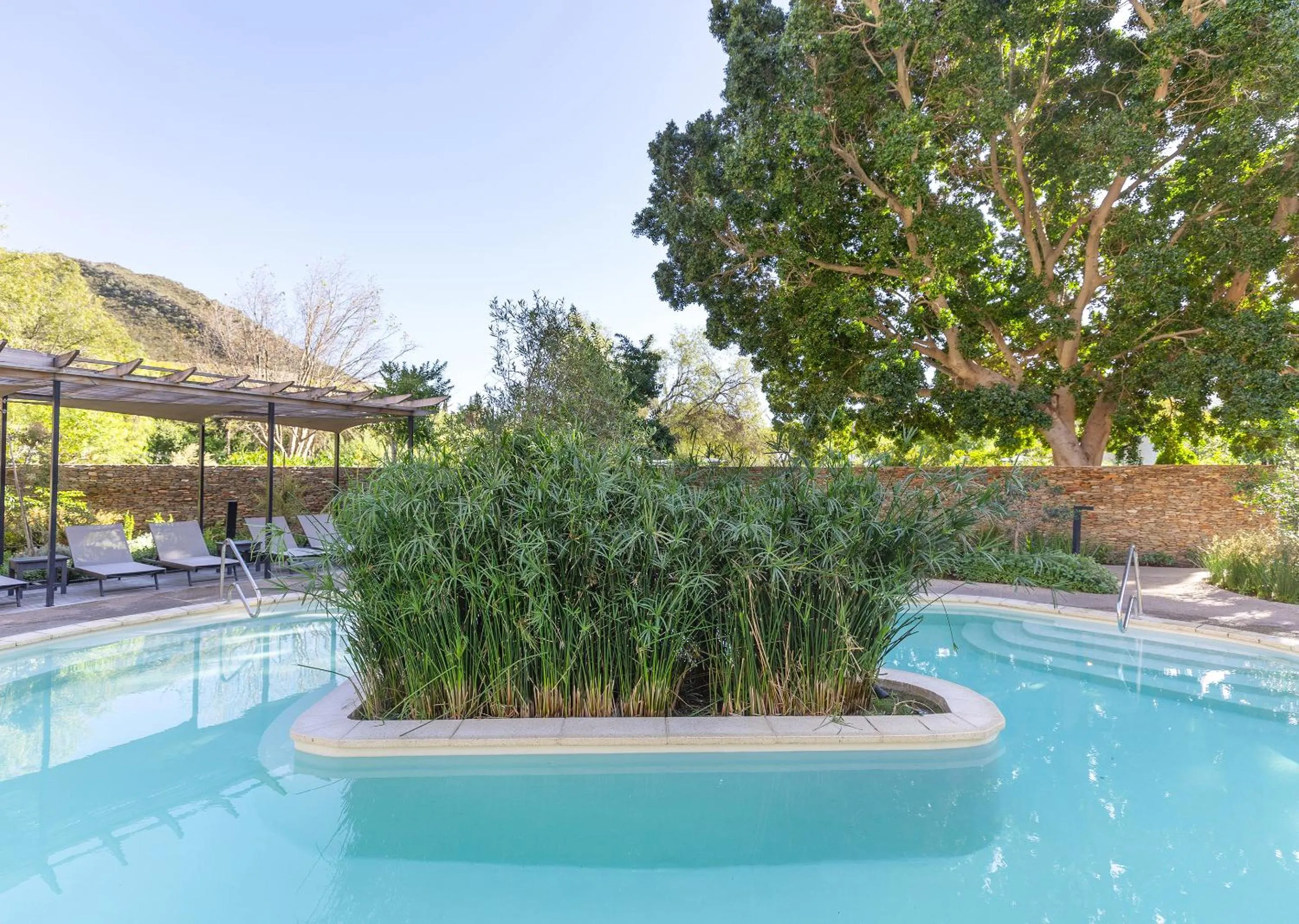 Natural landscape in Avalon Springs by Dream Resorts