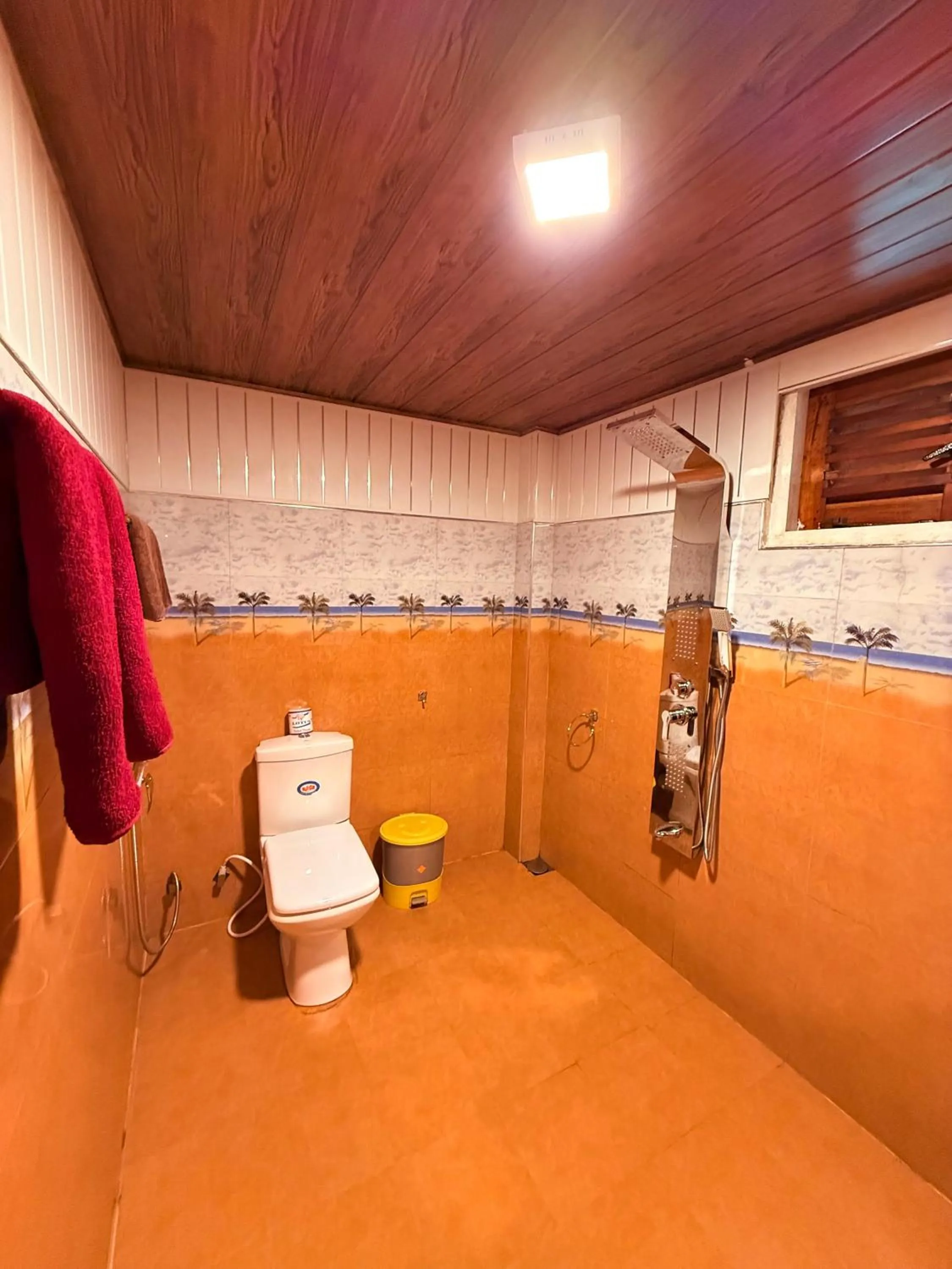 Shower in Guest Inn Avendra