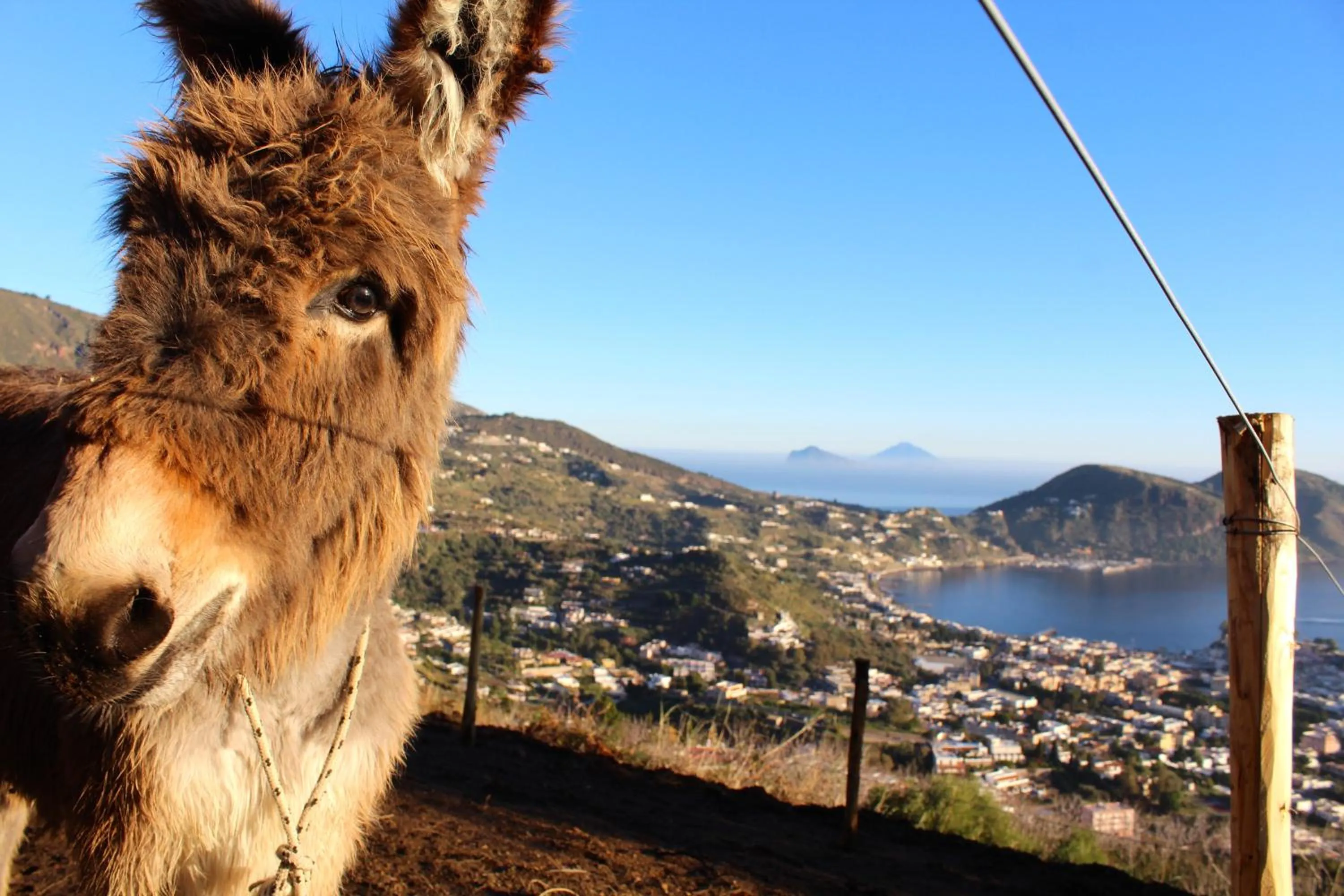 Hiking in al numero zero