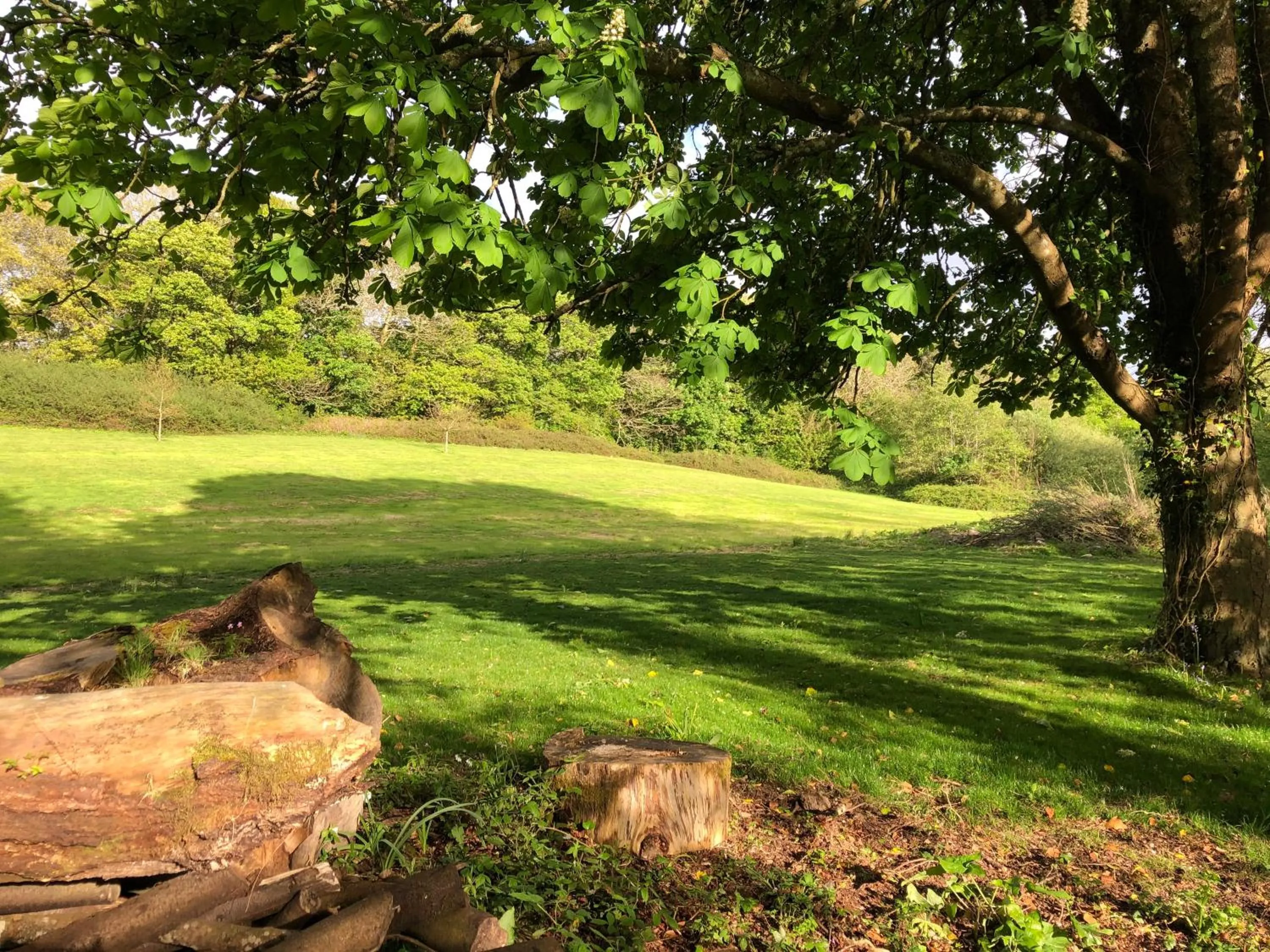 Garden in Red River Stables - Peaceful, beautiful grounds, swimming pool, central location for West Cornwall