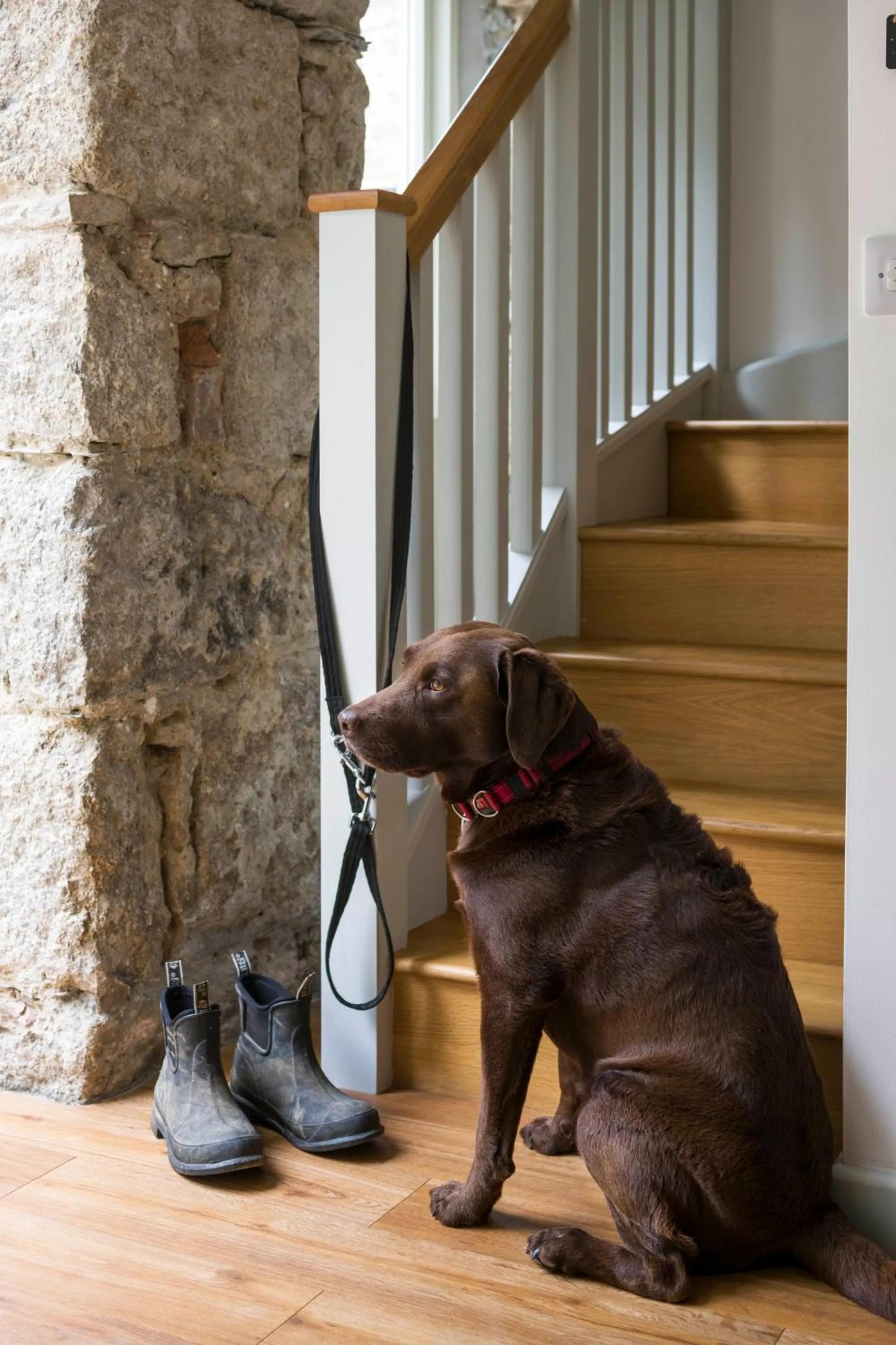 Pets in Red River Stables - Peaceful, beautiful grounds, swimming pool, central location for West Cornwall
