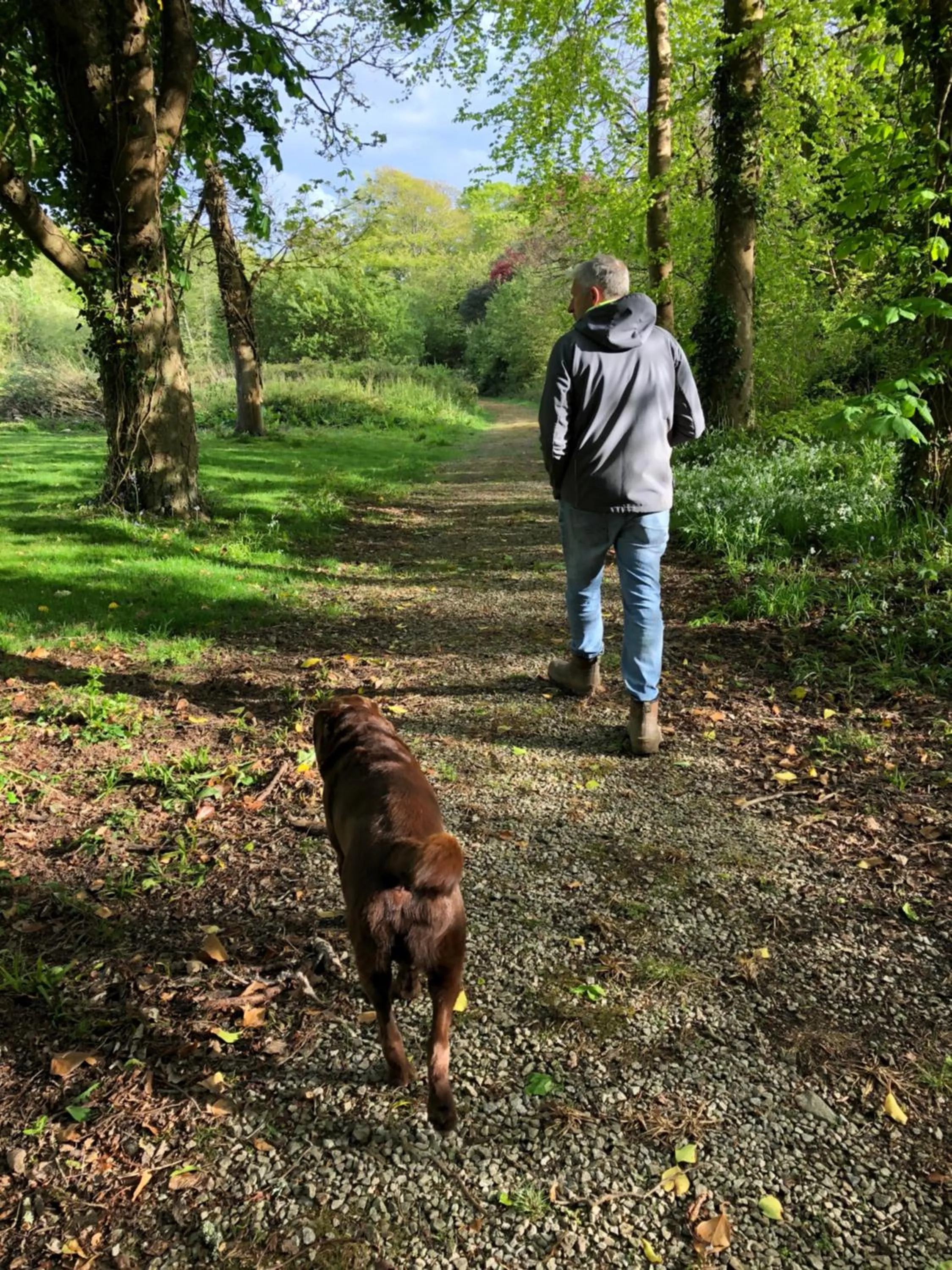 Pets in Red River Stables - Peaceful, beautiful grounds, swimming pool, central location for West Cornwall