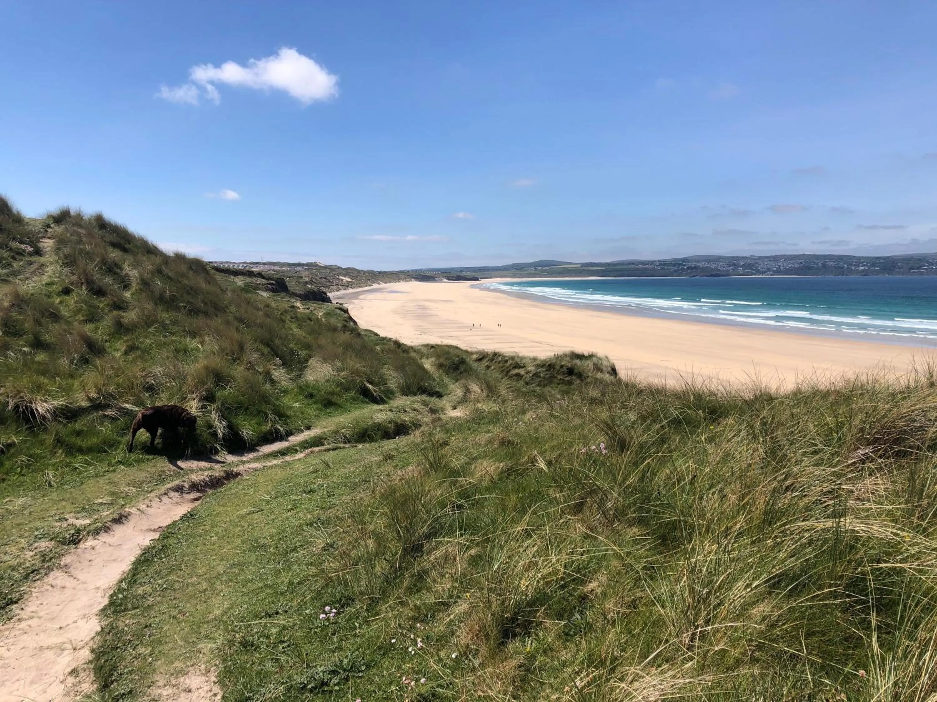 Beach in Red River Stables - Peaceful, beautiful grounds, swimming pool, central location for West Cornwall