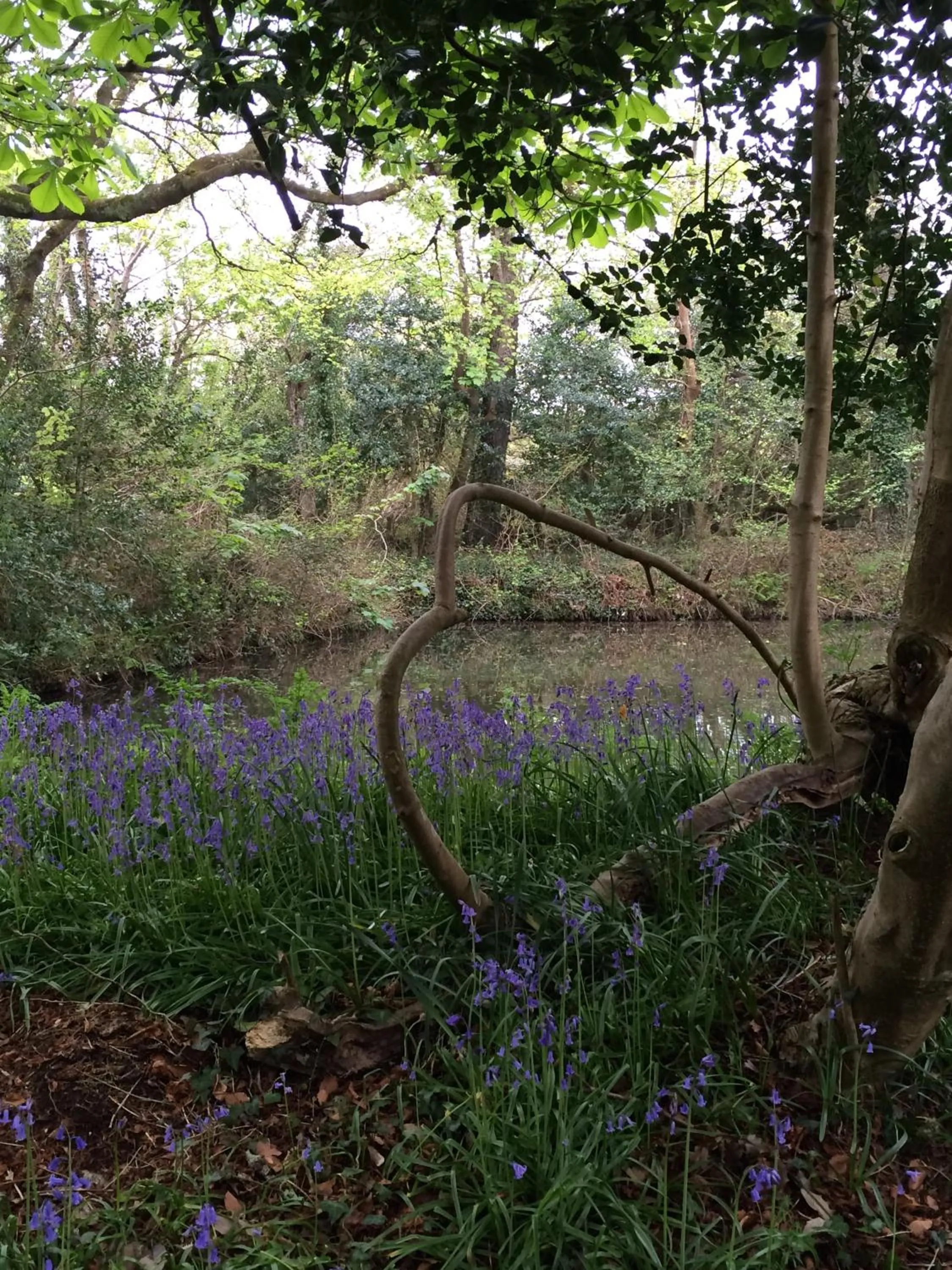 Property building in Red River Stables - Peaceful, beautiful grounds, swimming pool, central location for West Cornwall
