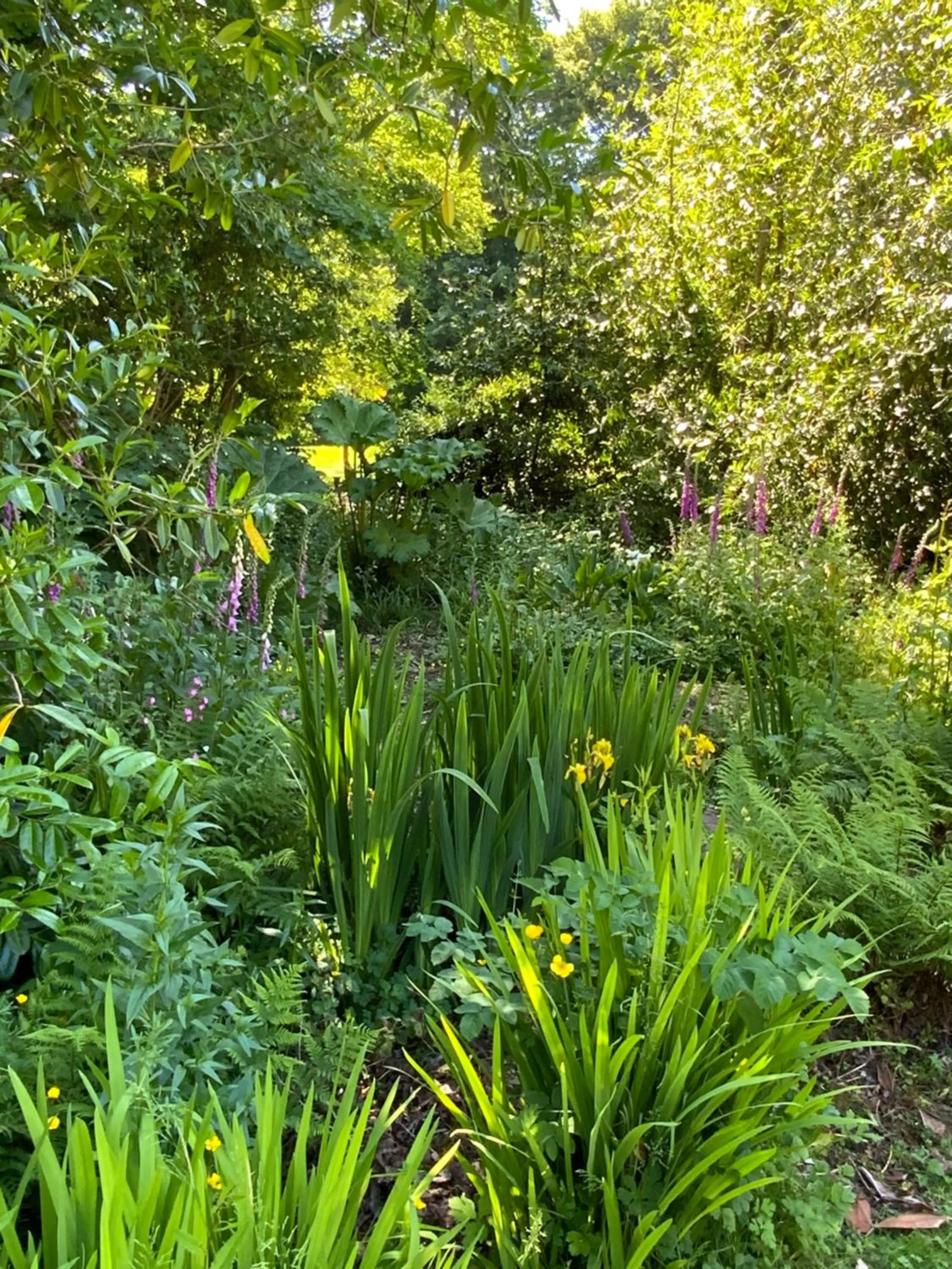 Garden in Red River Stables - Peaceful, beautiful grounds, swimming pool, central location for West Cornwall