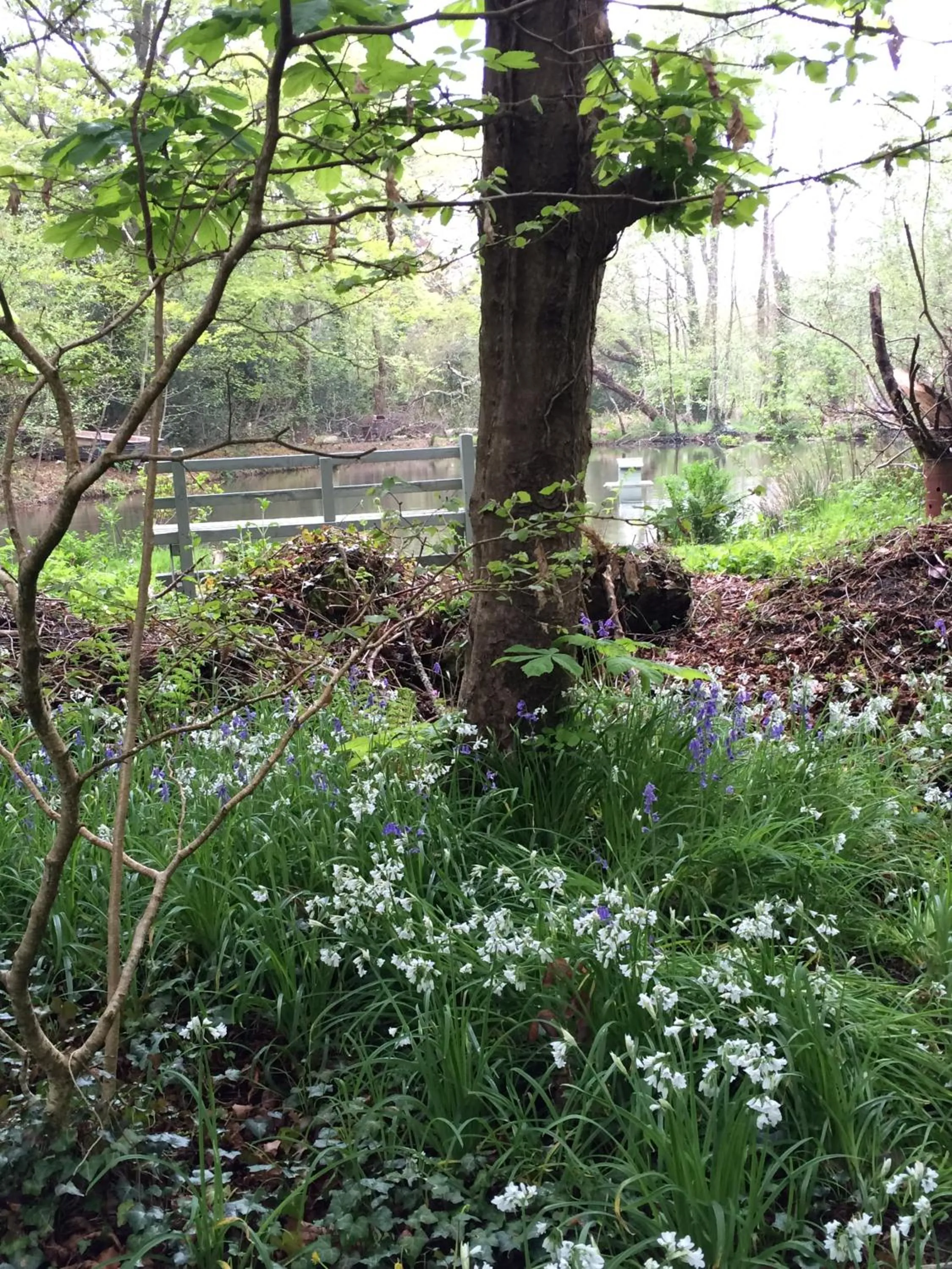 Property building in Red River Stables - Peaceful, beautiful grounds, swimming pool, central location for West Cornwall