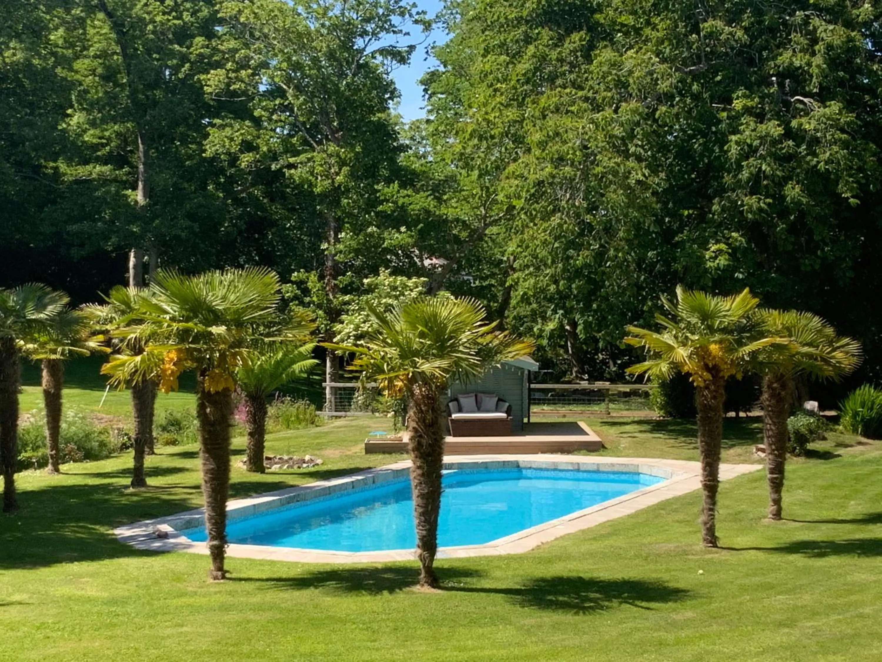 Swimming pool in Red River Stables - Peaceful, beautiful grounds, swimming pool, central location for West Cornwall