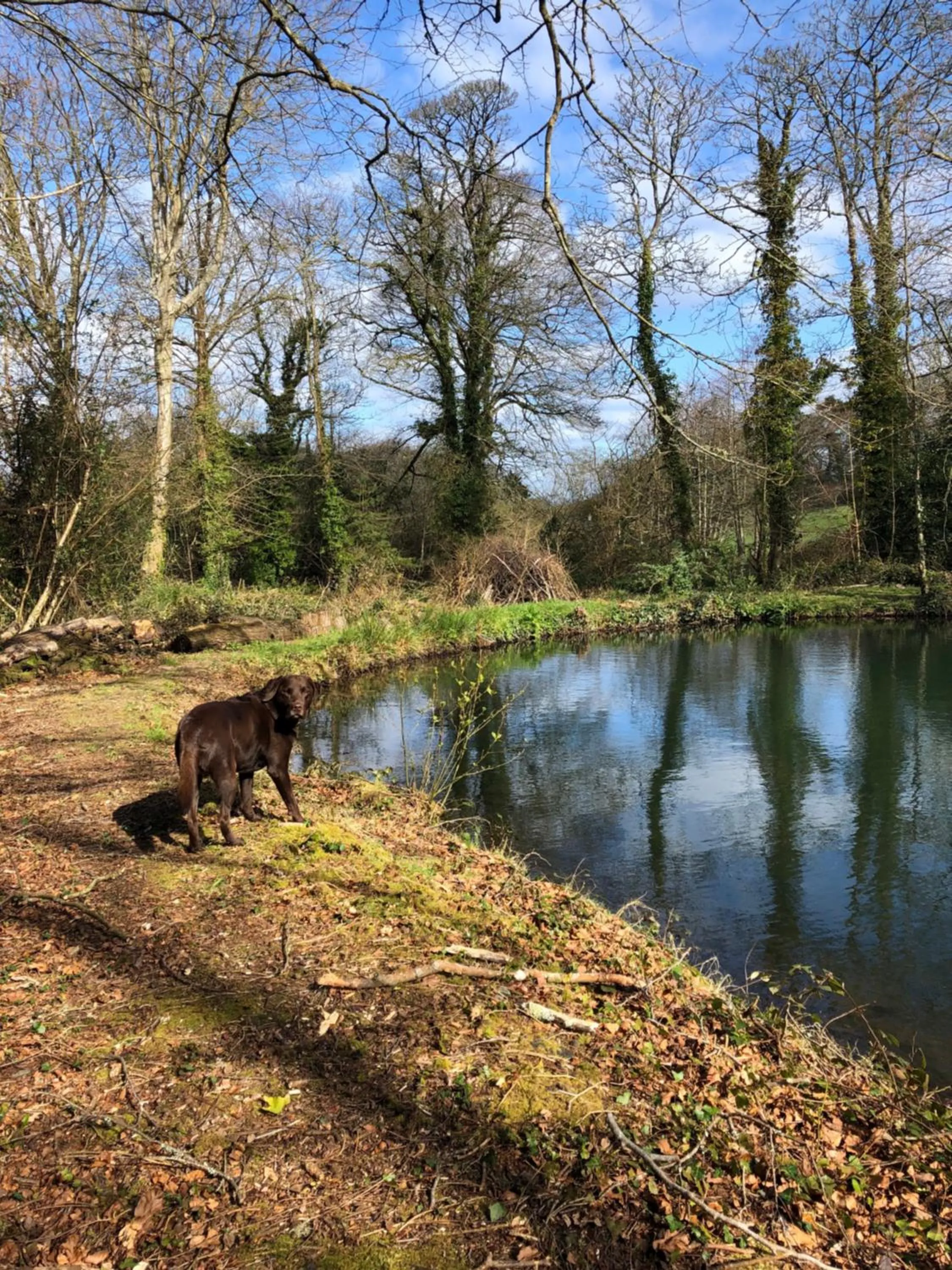 Natural landscape in Red River Stables - Peaceful, beautiful grounds, swimming pool, central location for West Cornwall