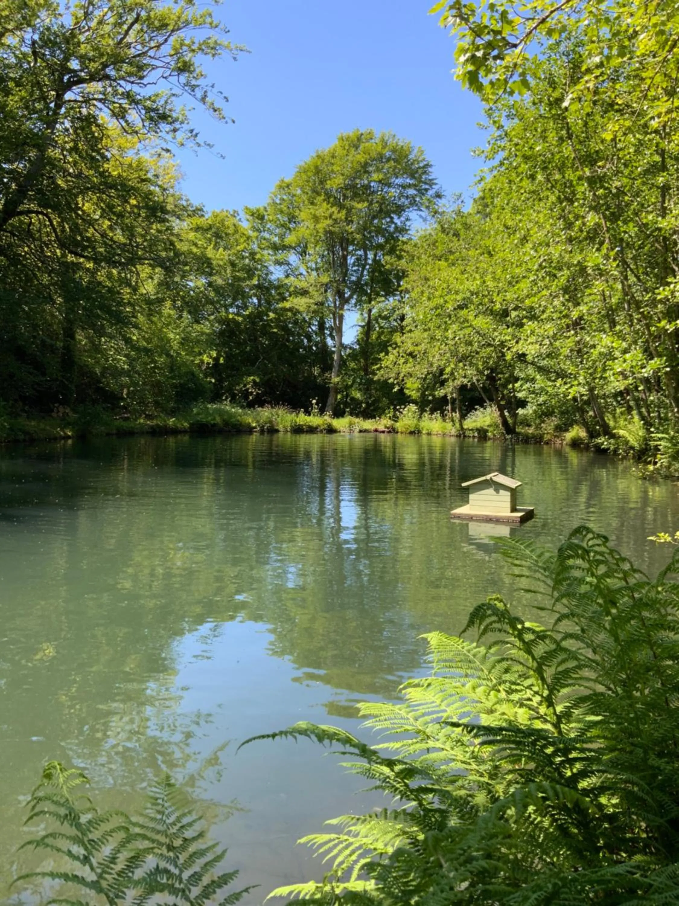 Garden in Red River Stables - Peaceful, beautiful grounds, swimming pool, central location for West Cornwall