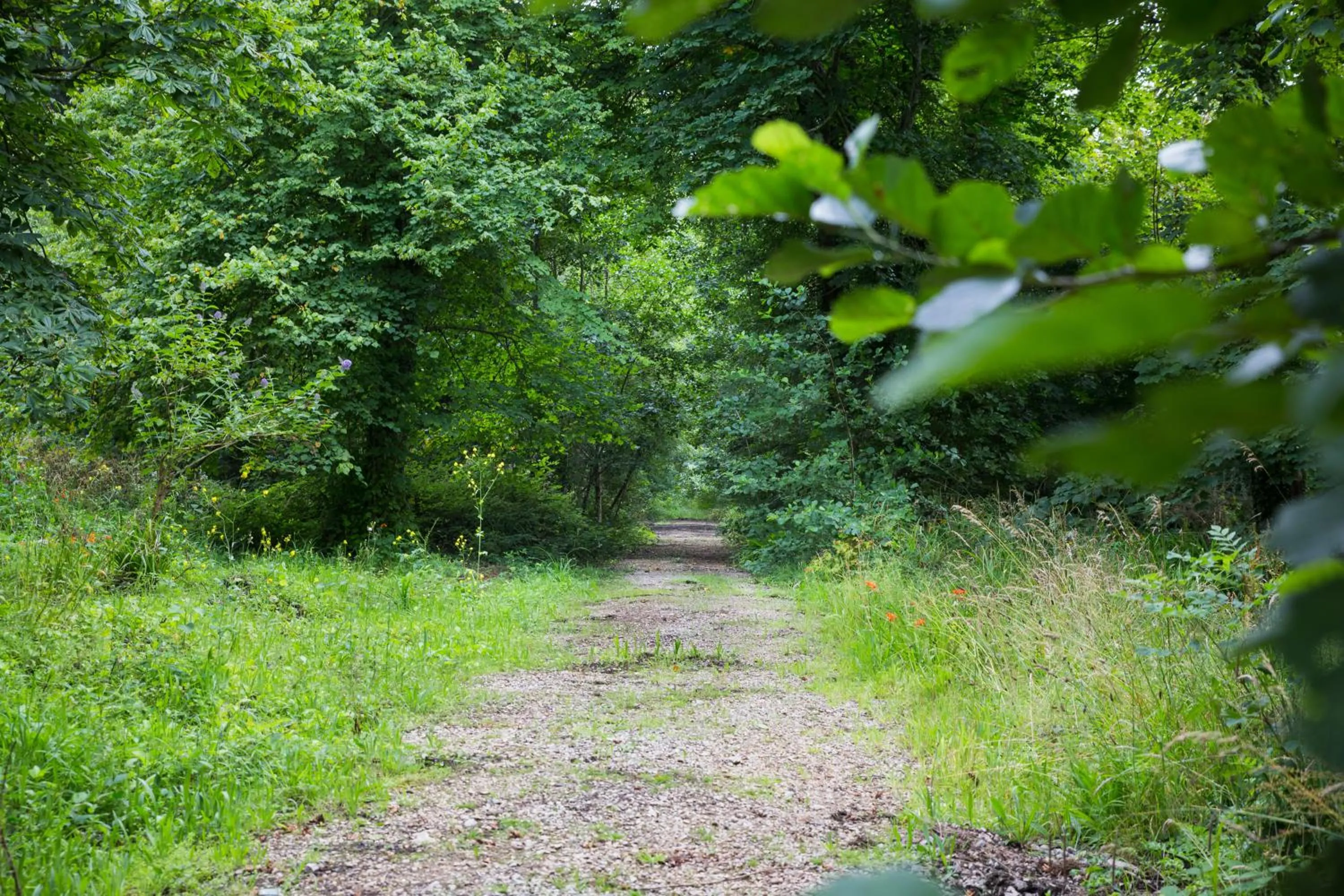 Property building in Red River Stables - Peaceful, beautiful grounds, swimming pool, central location for West Cornwall