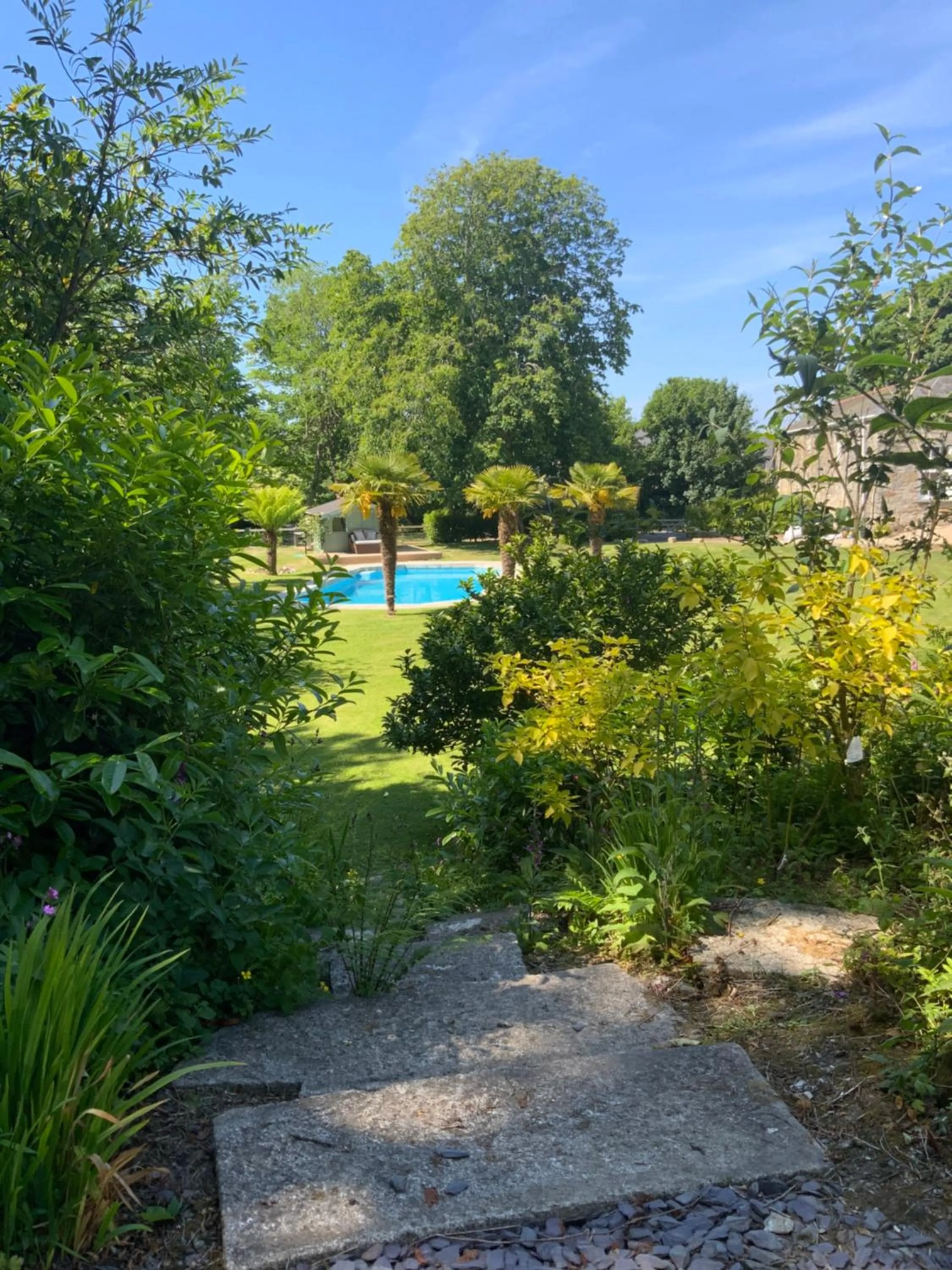 Garden in Red River Stables - Peaceful, beautiful grounds, swimming pool, central location for West Cornwall