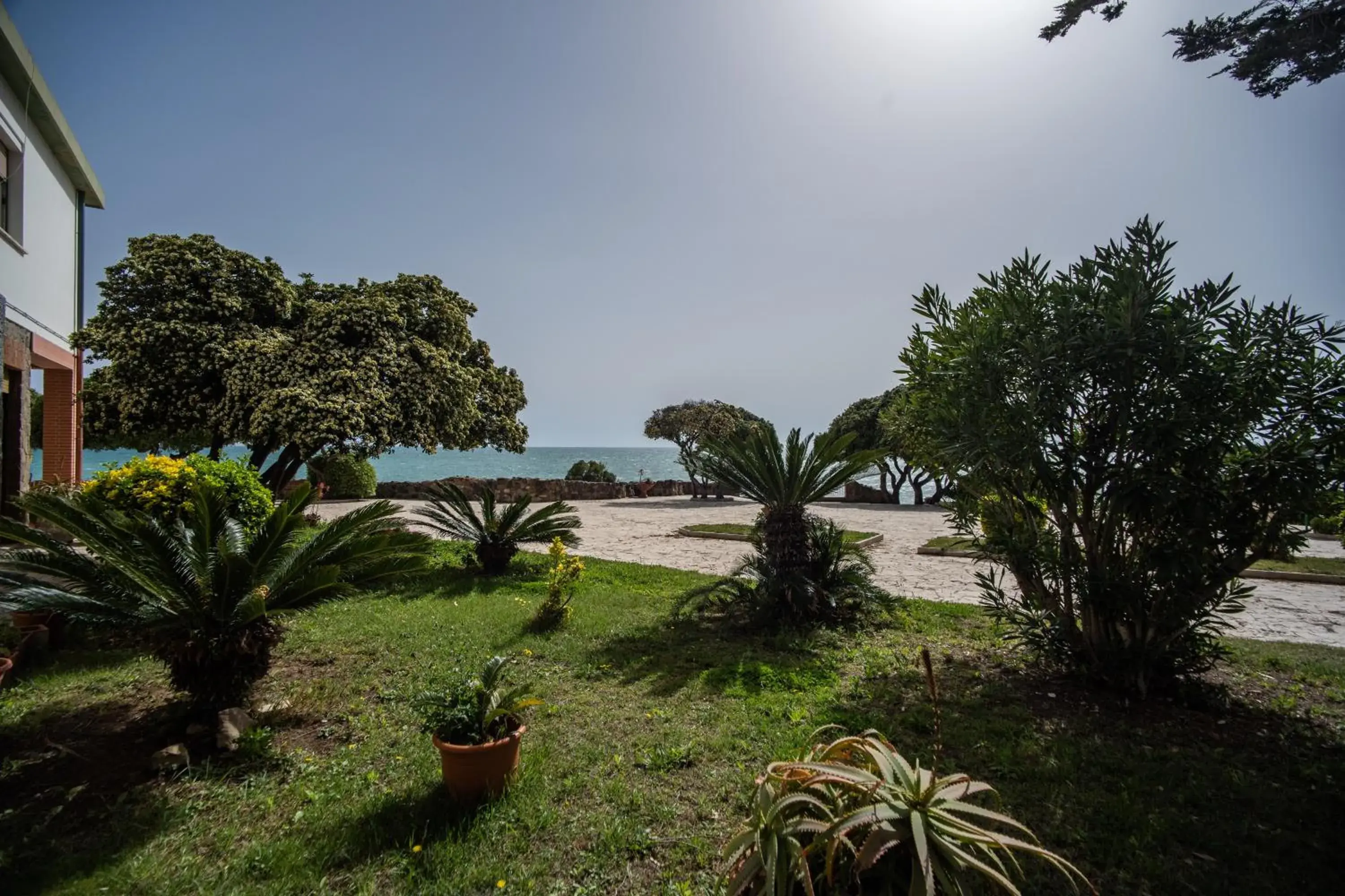 Garden view in Villa MG Hotel Garden view in Villa MG Hotel