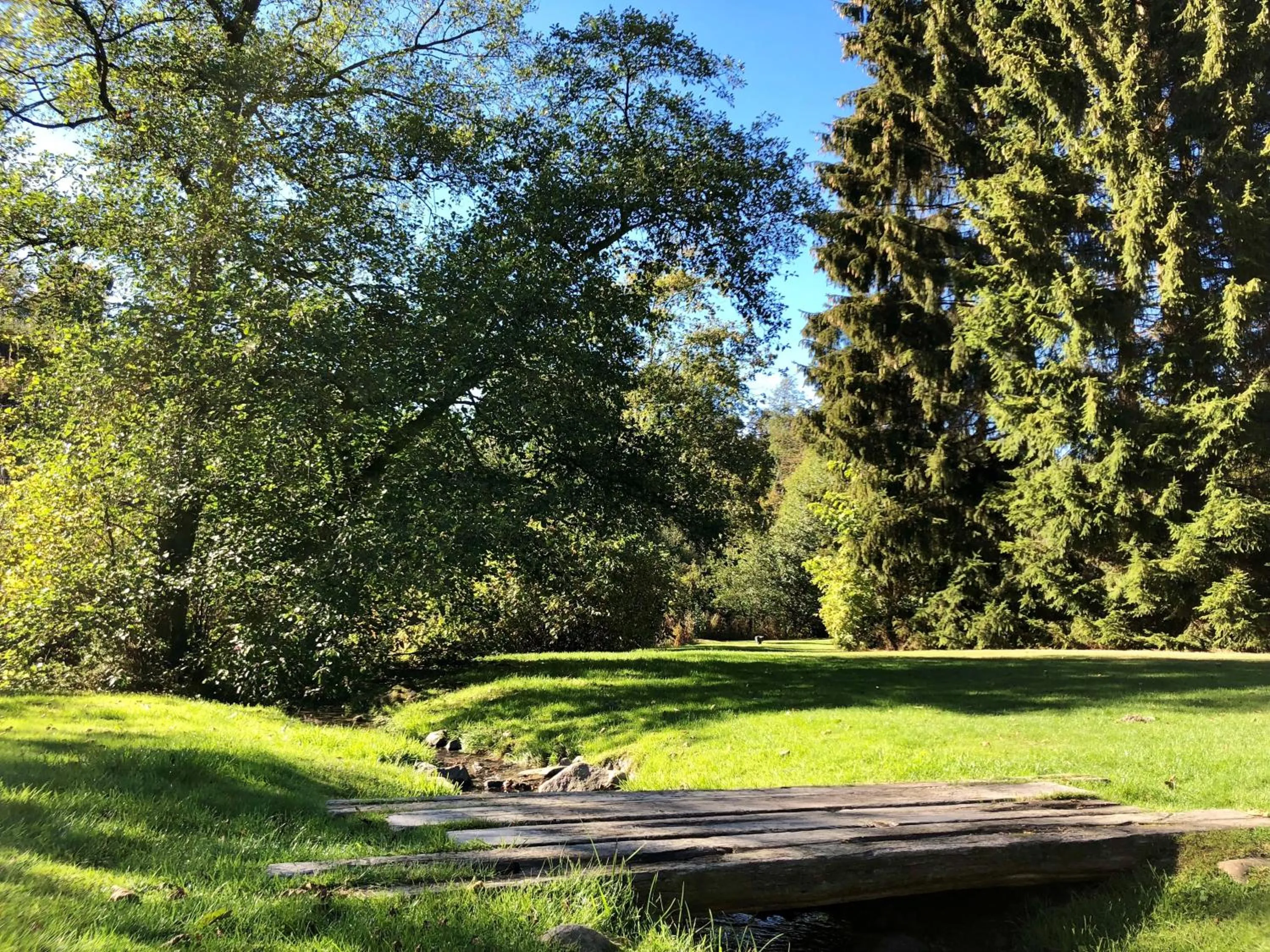 Garden in Hotel Le Val D'arimont