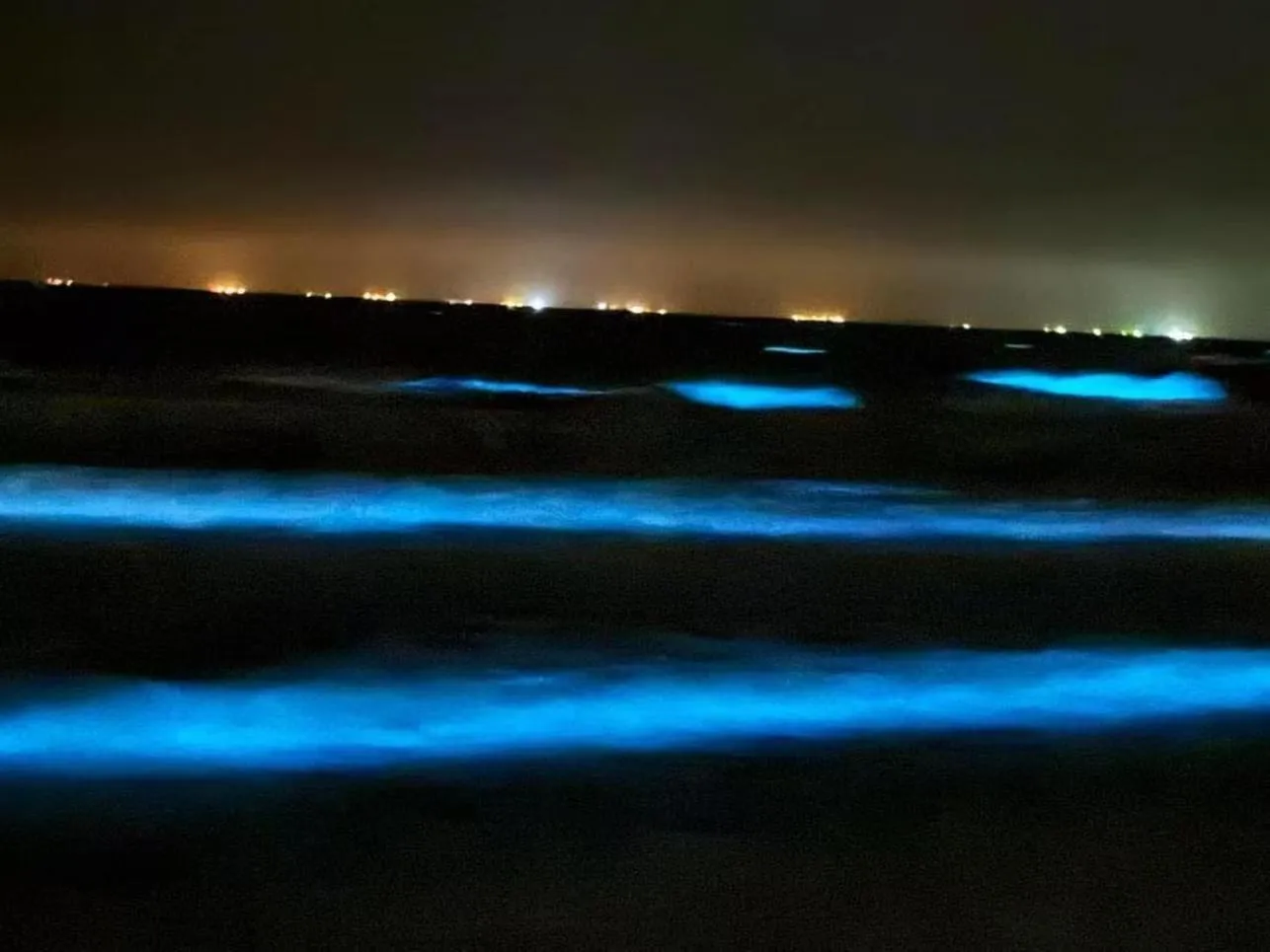 Natural landscape in Gulfway Motel and Restaurant