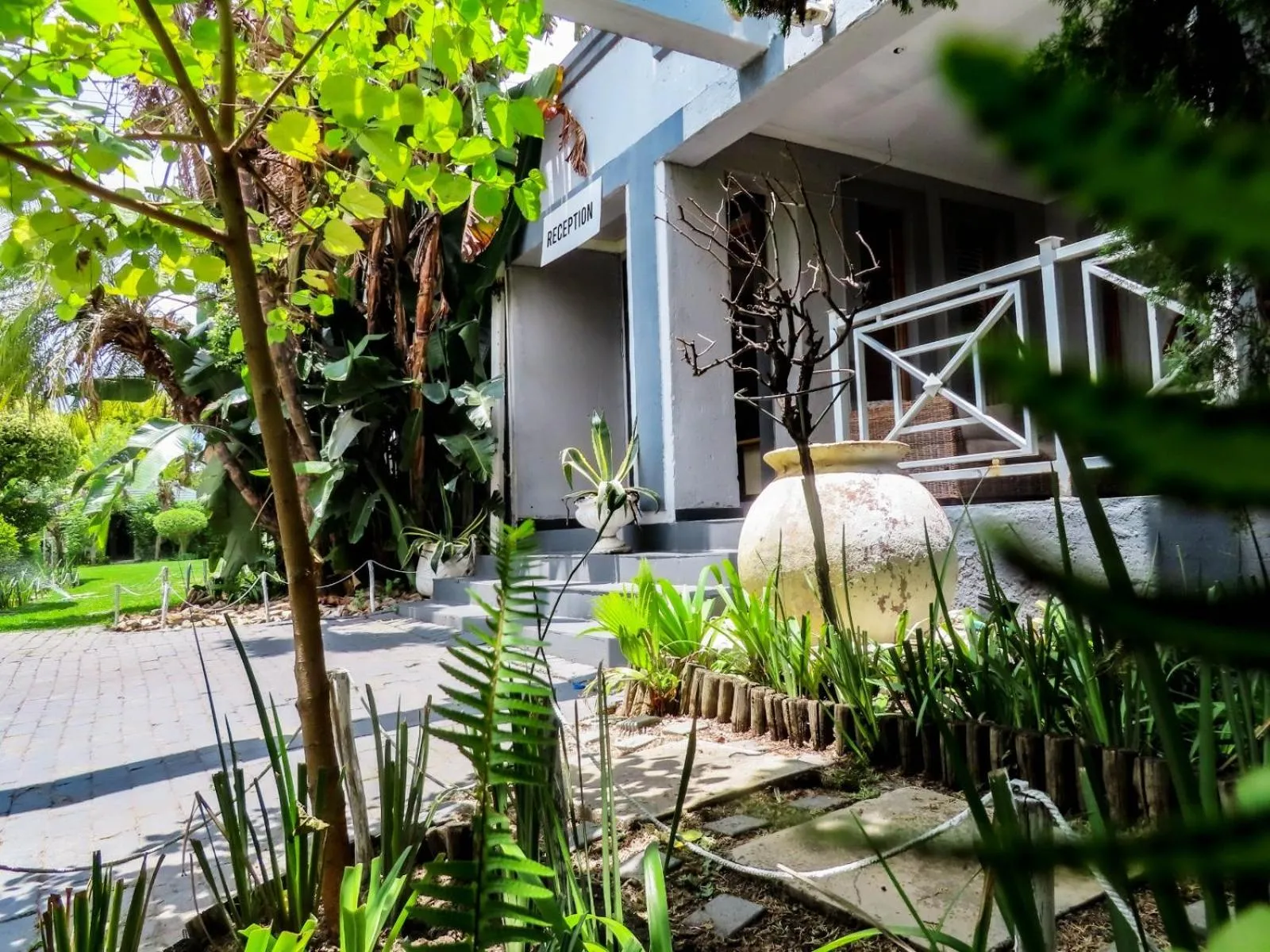 Corgi Guest House
