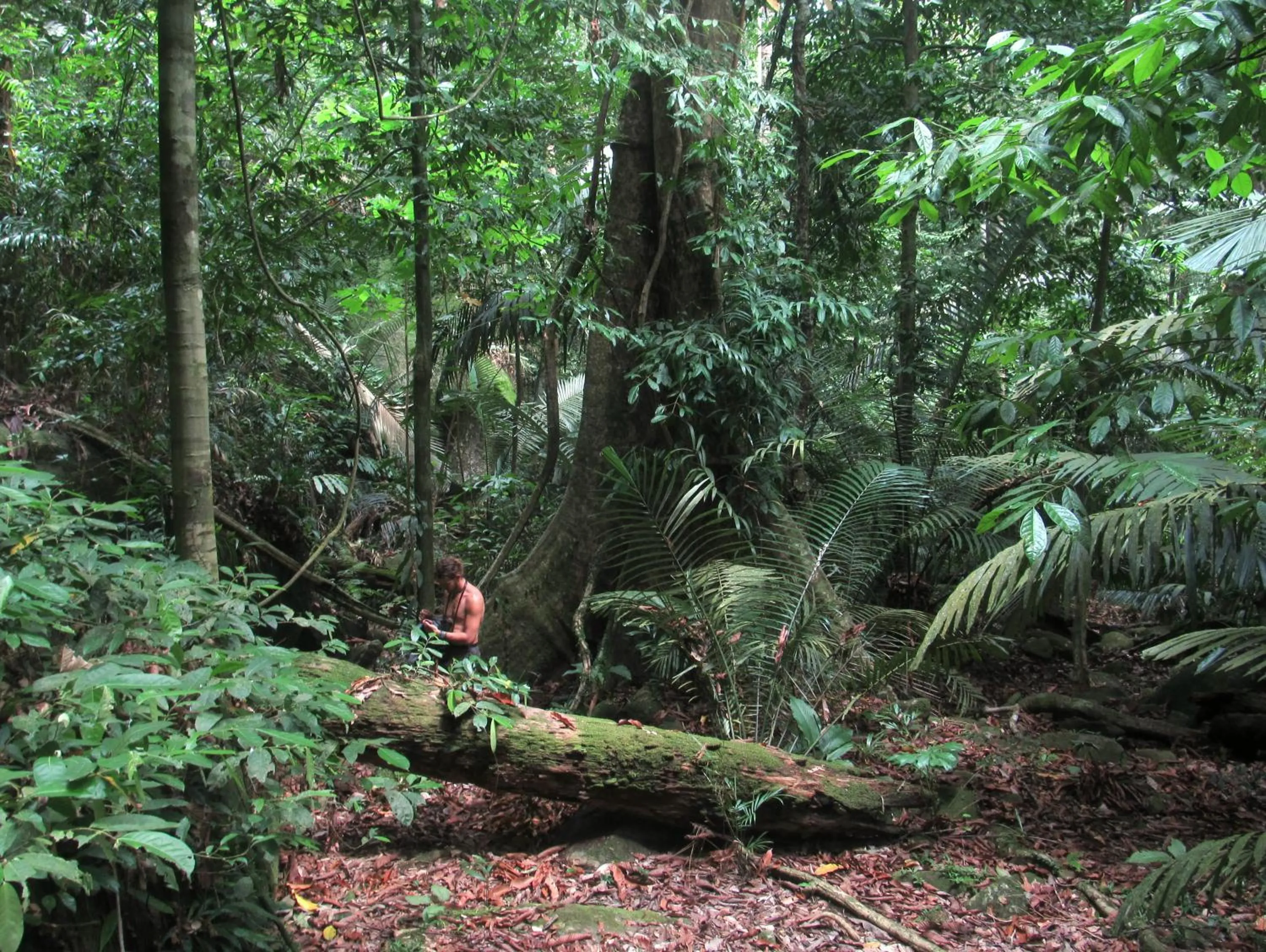 Hiking in The Barat Tioman Beach Resort