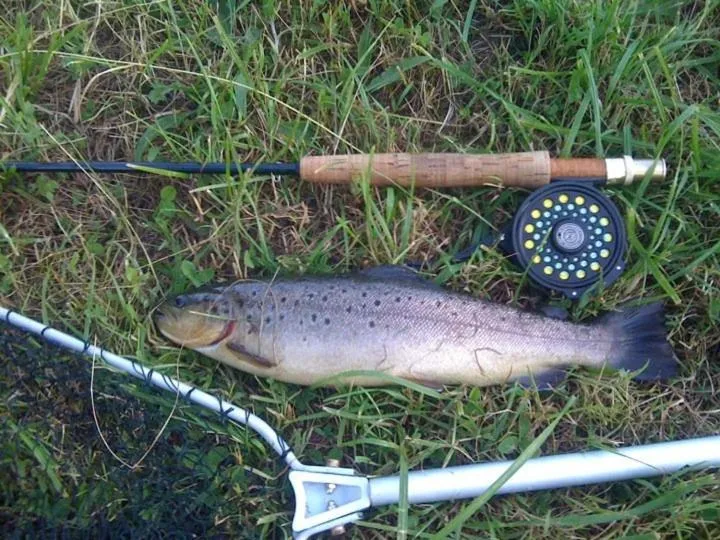 Fishing in Hotel Mirni Kutak