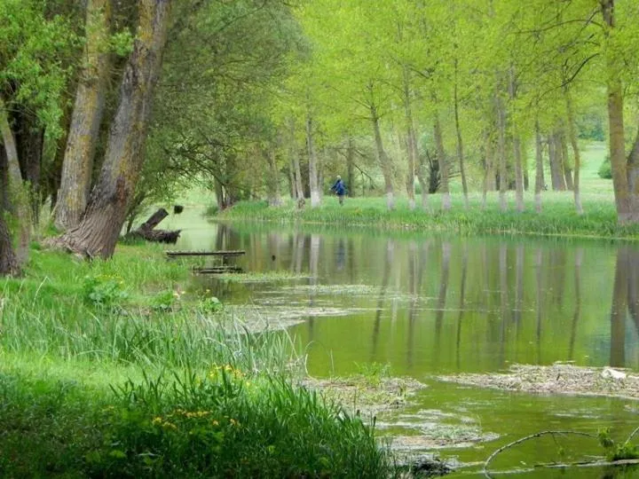 Fishing in Hotel Mirni Kutak