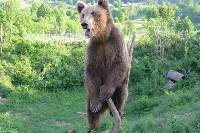 Area and facilities in Hotel Mirni Kutak