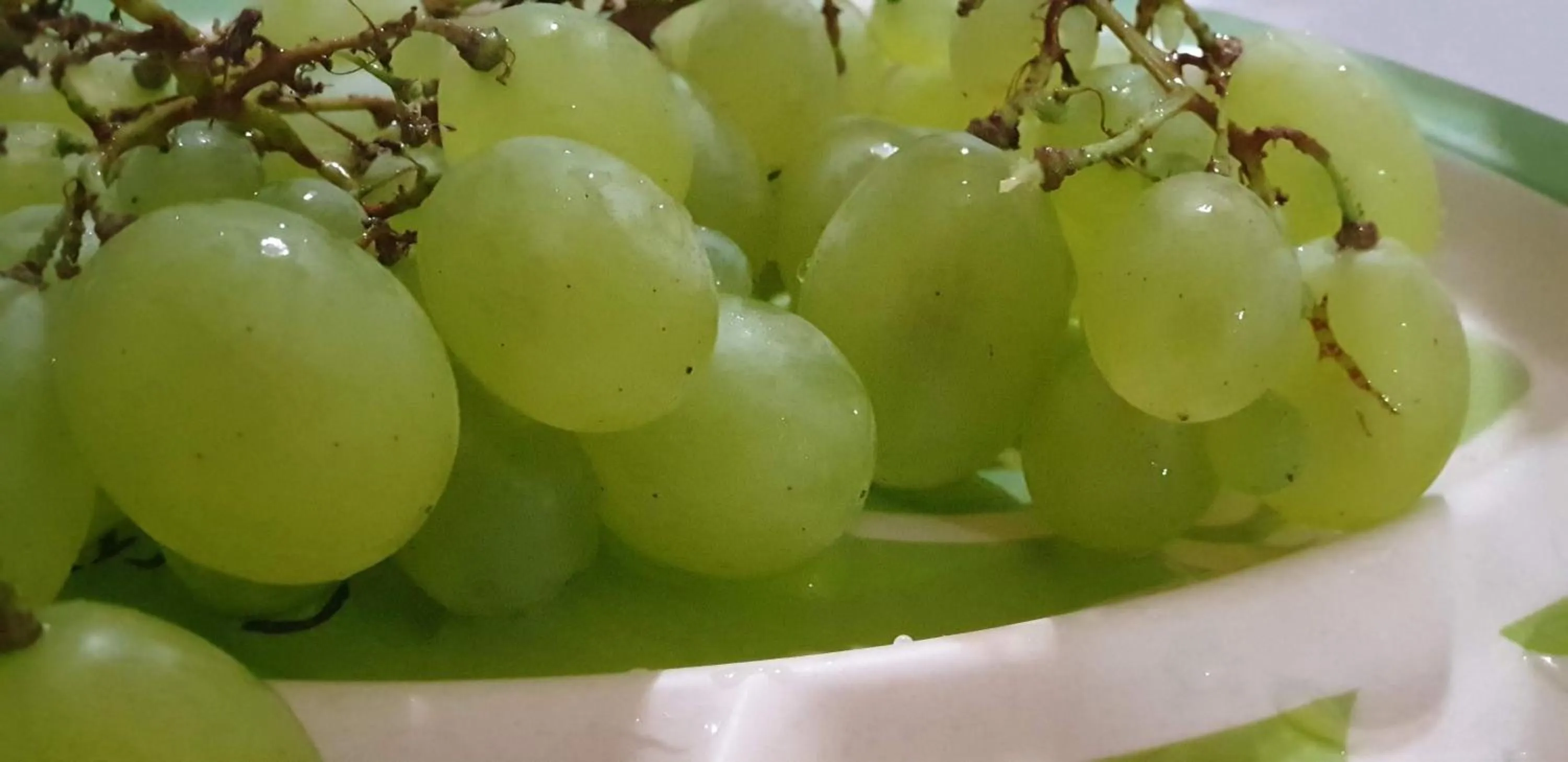 Buffet breakfast in Hotel Mirni Kutak