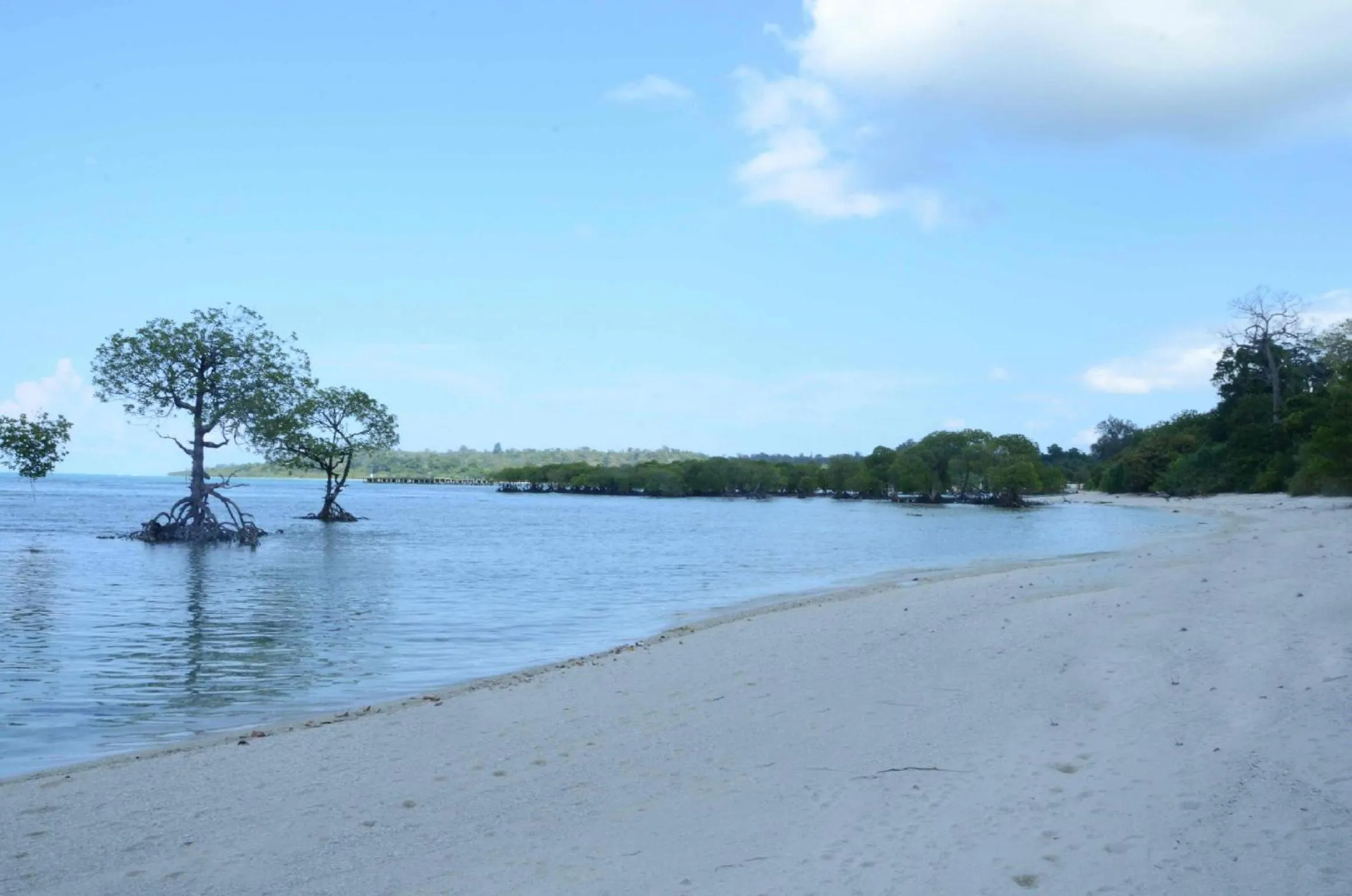 Sea view in Coconhuts Beach Resort