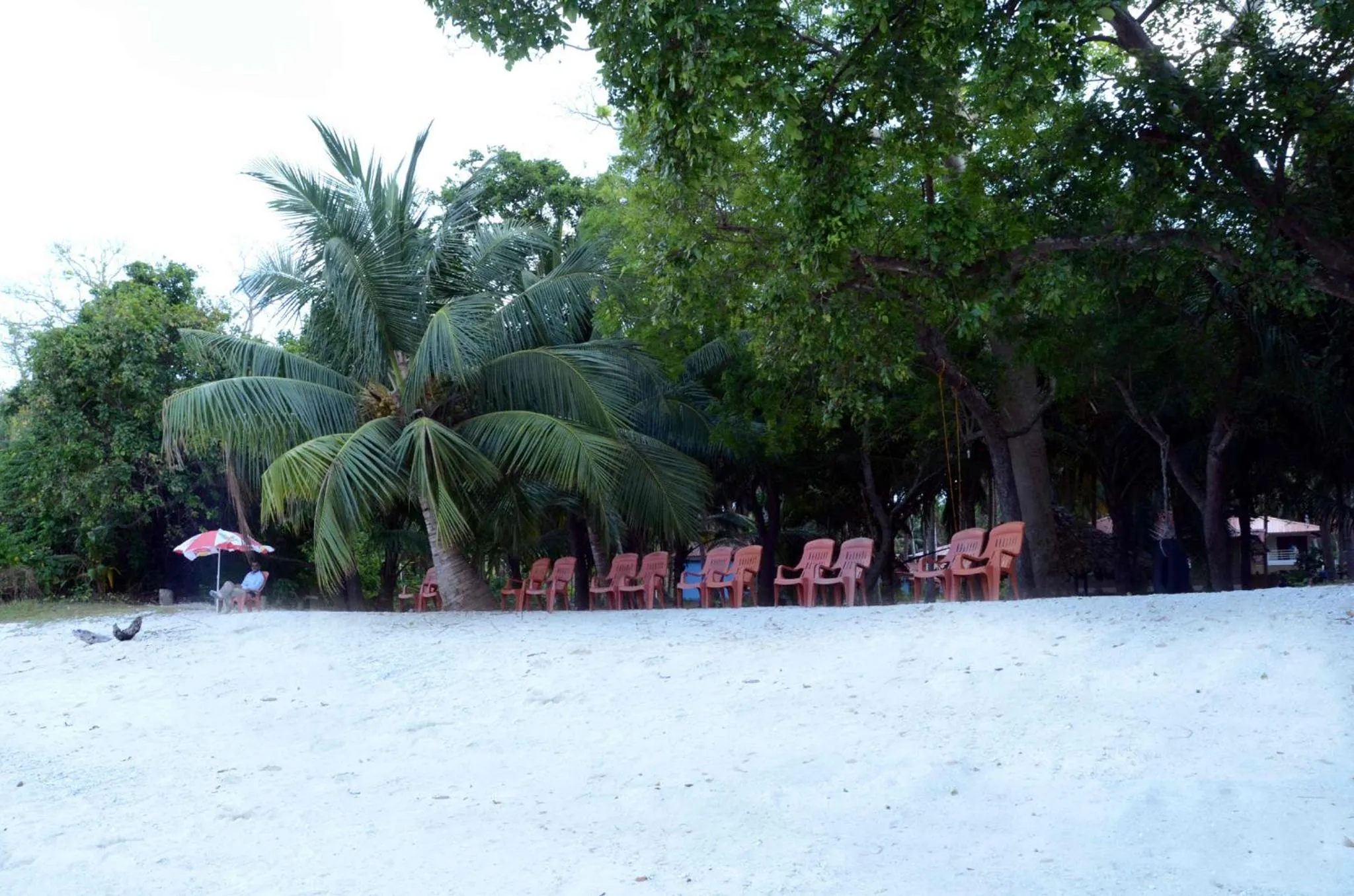 Sea view in Coconhuts Beach Resort