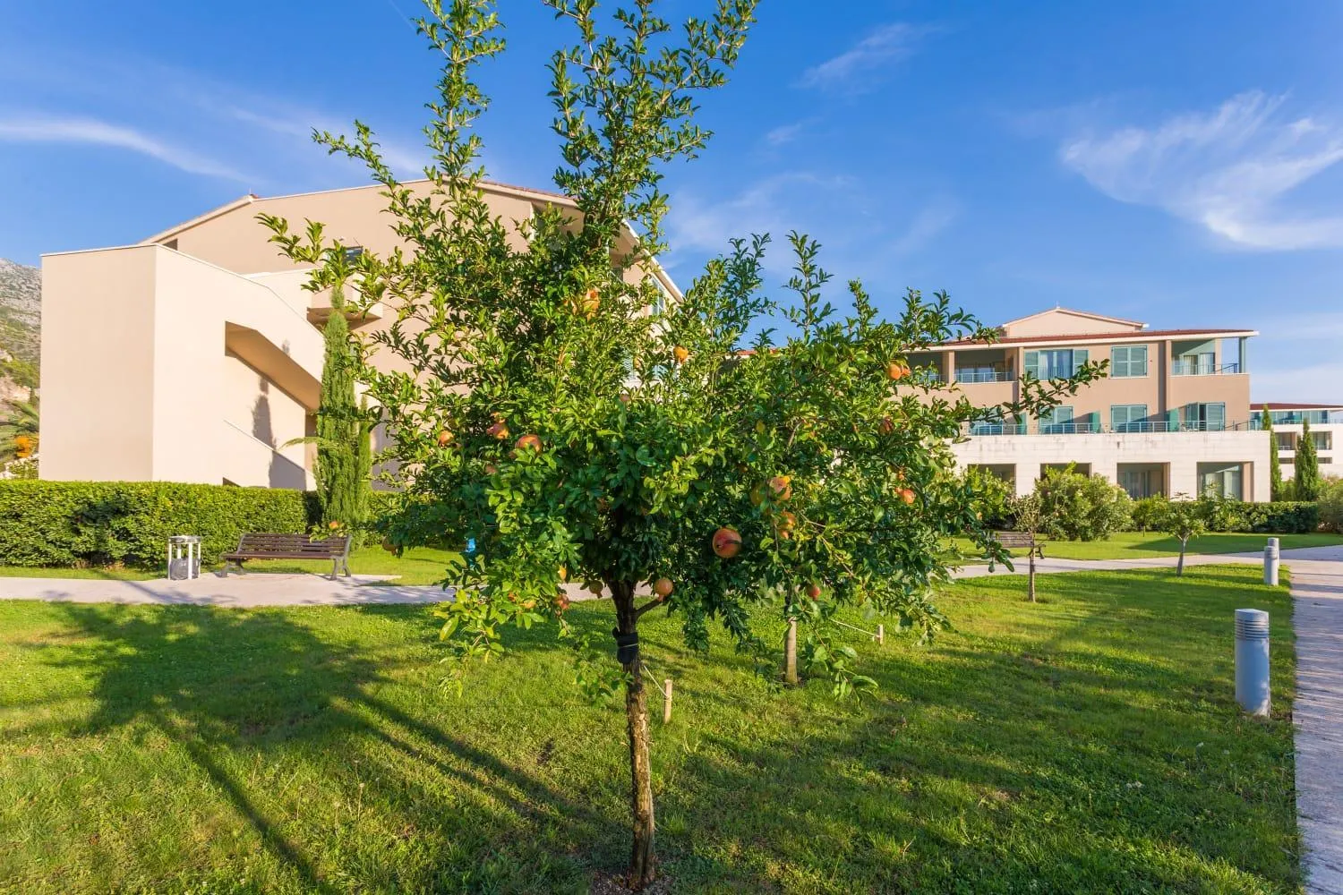 Garden in Admiral Grand Hotel