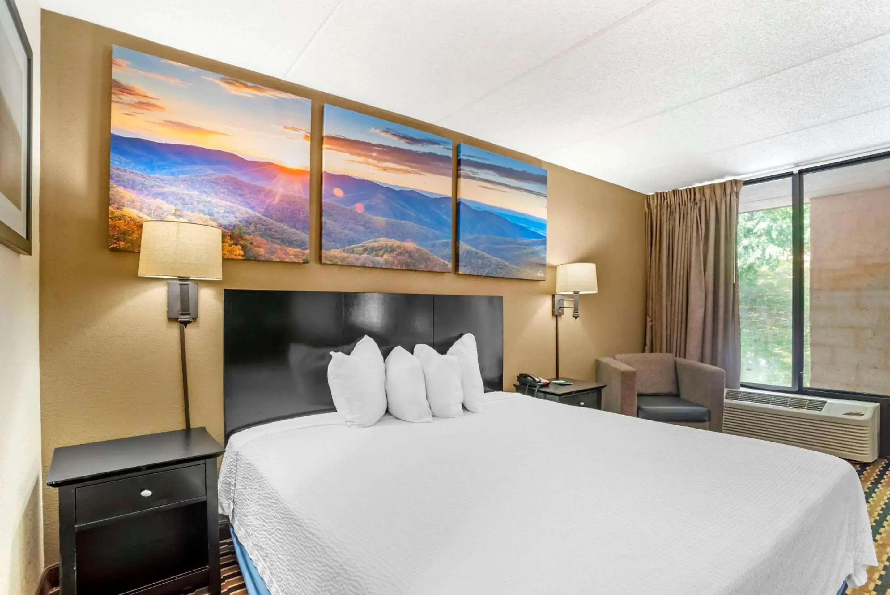 Bedroom, Bed in Quality Inn near Speedway Bedroom, Bed in Quality Inn near Speedway