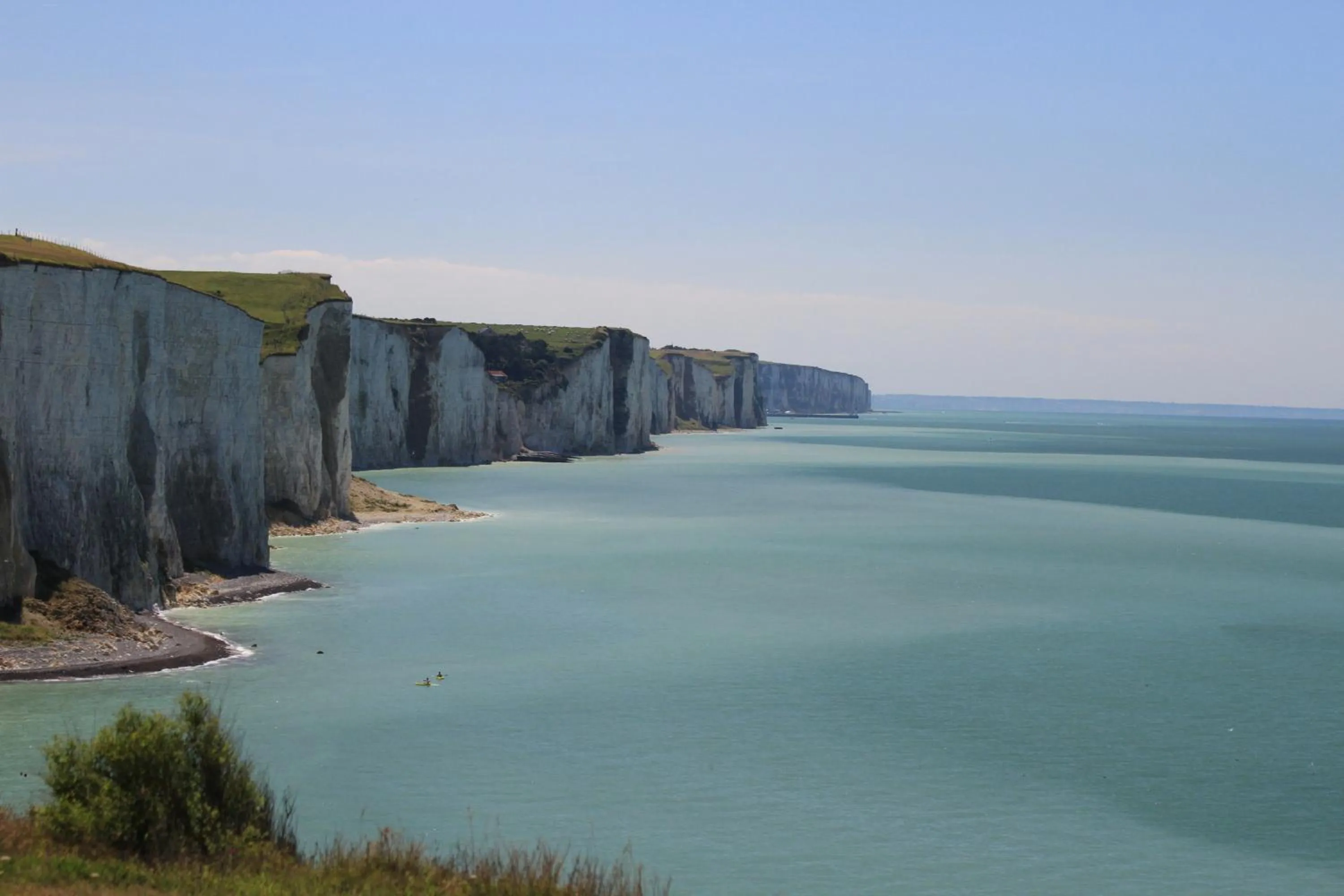 Other in Le chant des oiseaux