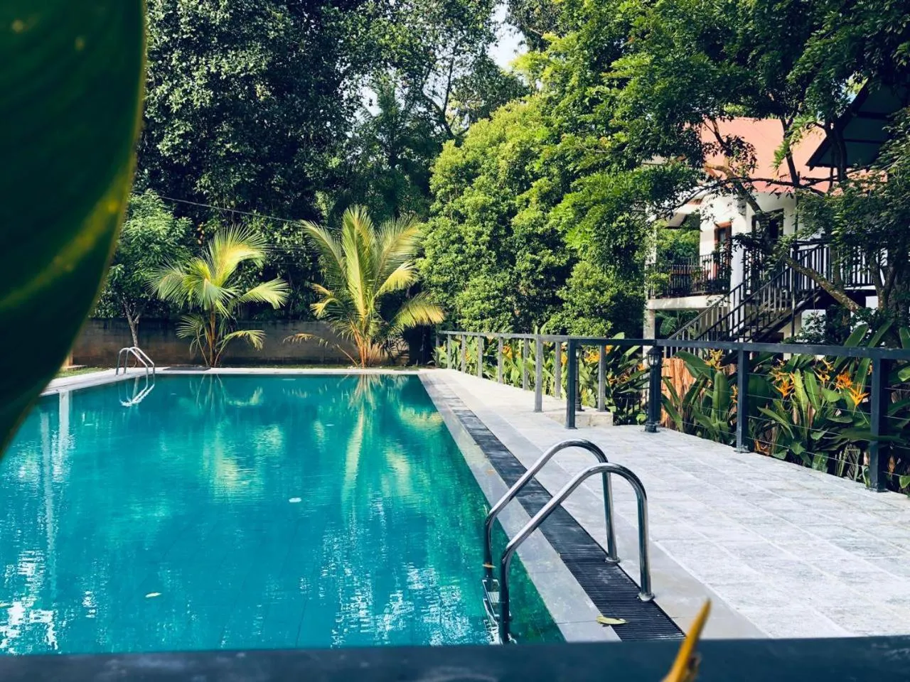 Pool view in The Countryside Udawalawe