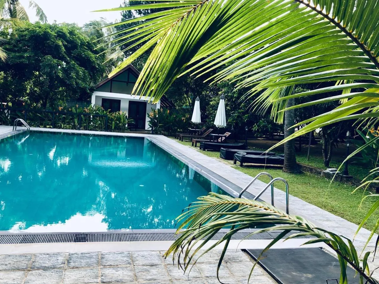 Swimming pool in The Countryside Udawalawe