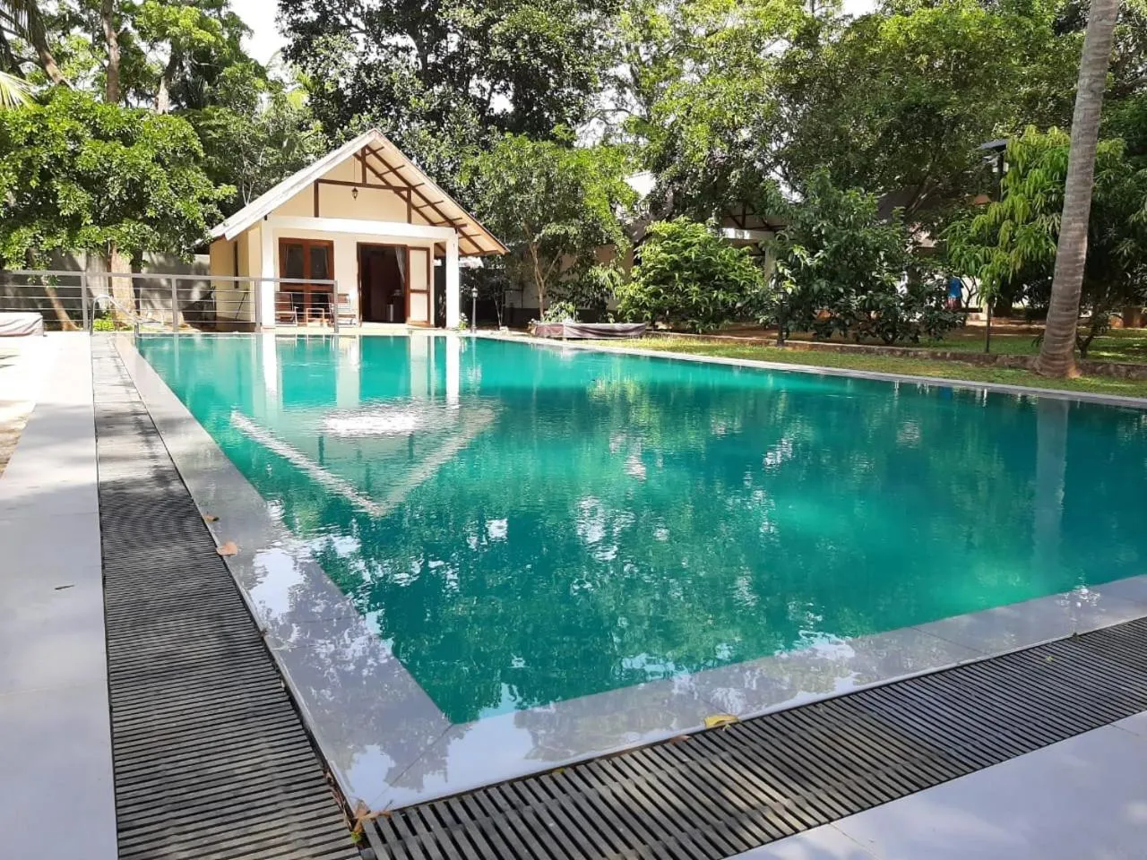 Swimming pool in The Countryside Udawalawe