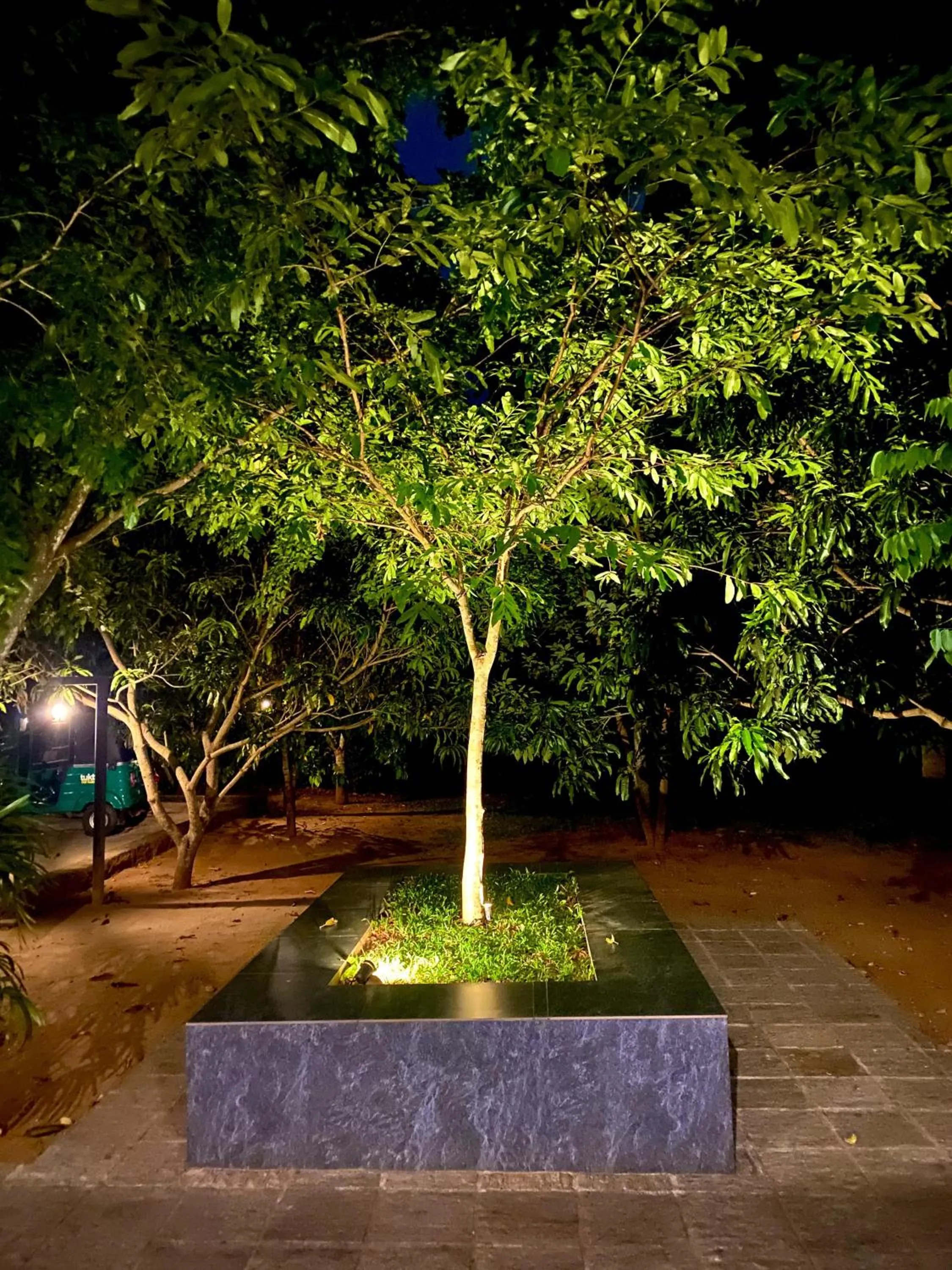 Lobby or reception in The Countryside Udawalawe