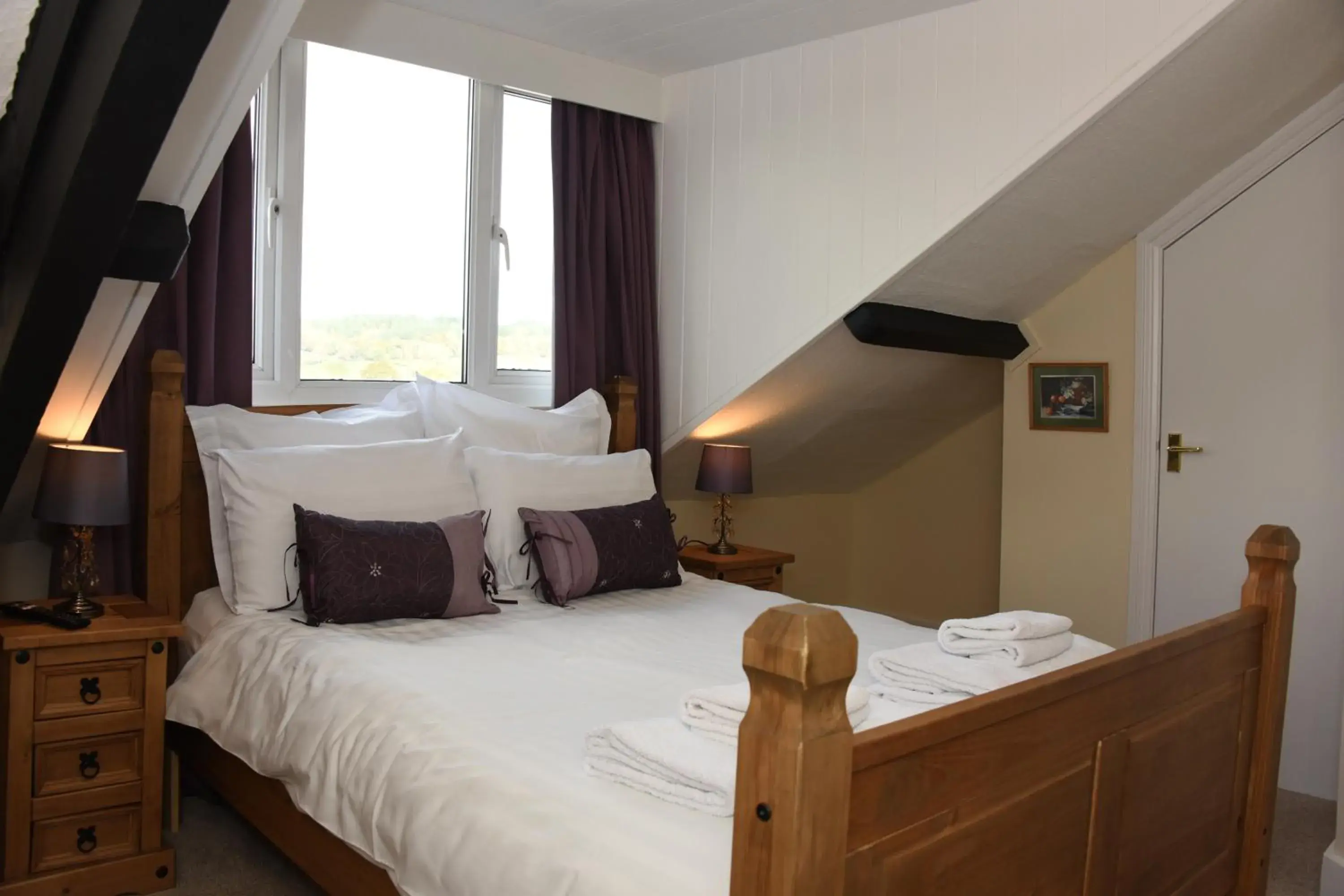 Standard Double Room - single occupancy in The Llanelwedd Arms Hotel Standard Double Room - single occupancy in The Llanelwedd Arms Hotel