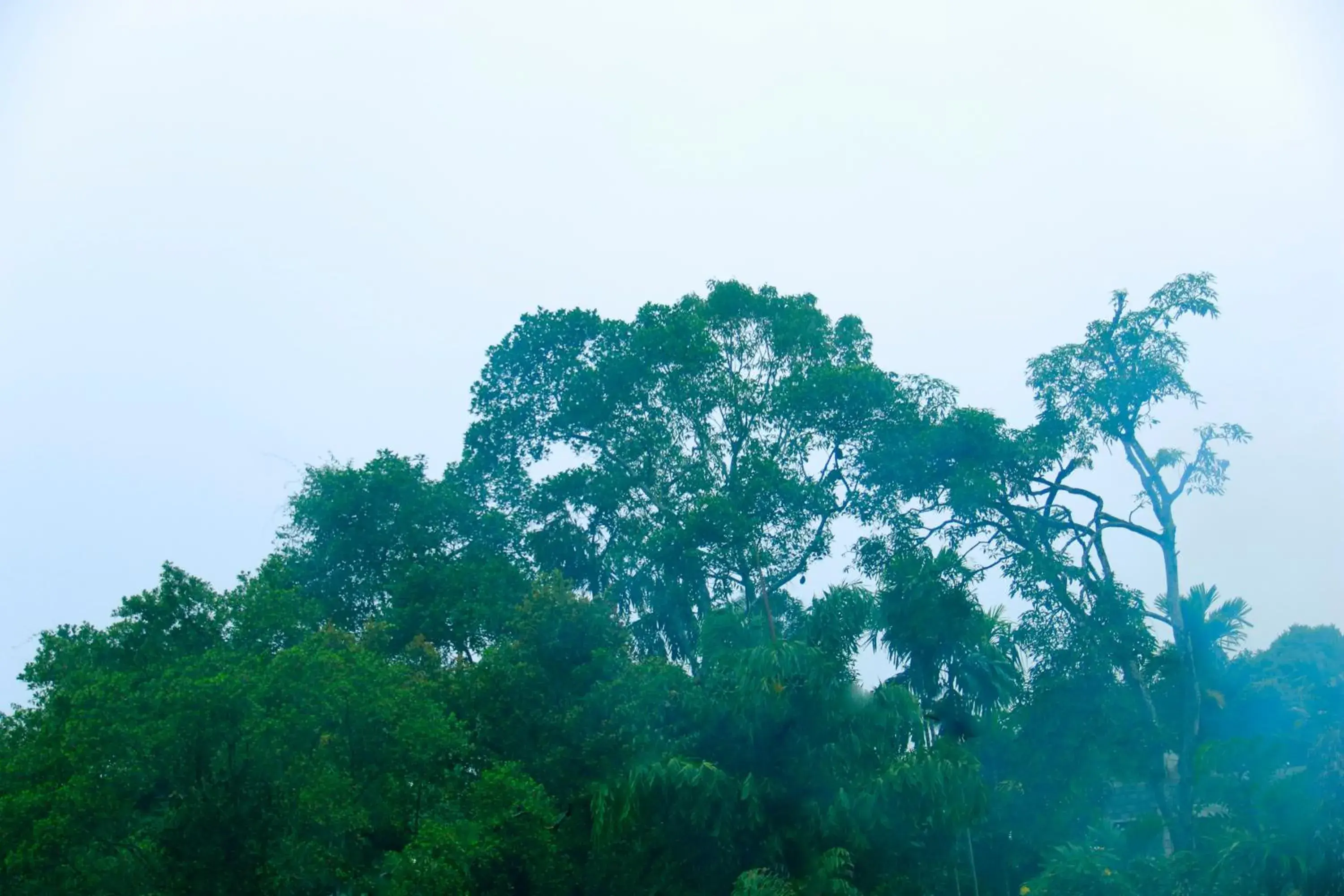 Standard Double Room in Dinaro Guest Standard Double Room in Dinaro Guest